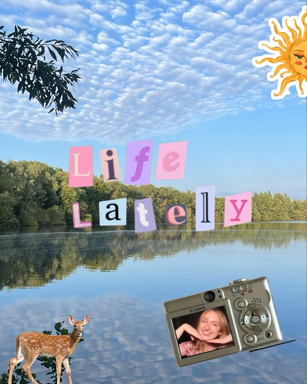 summer scrapbook📸🌊