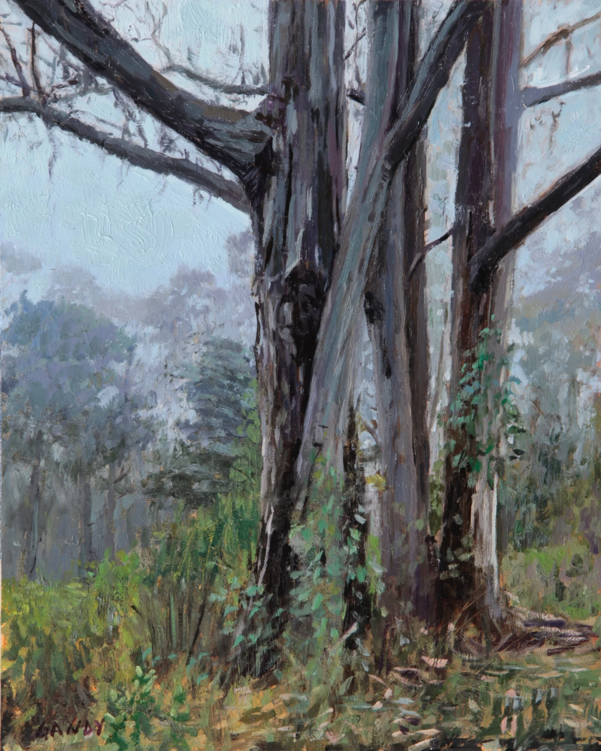  Trees in the Fog, 10”x 8”, oil on panel  Sold 