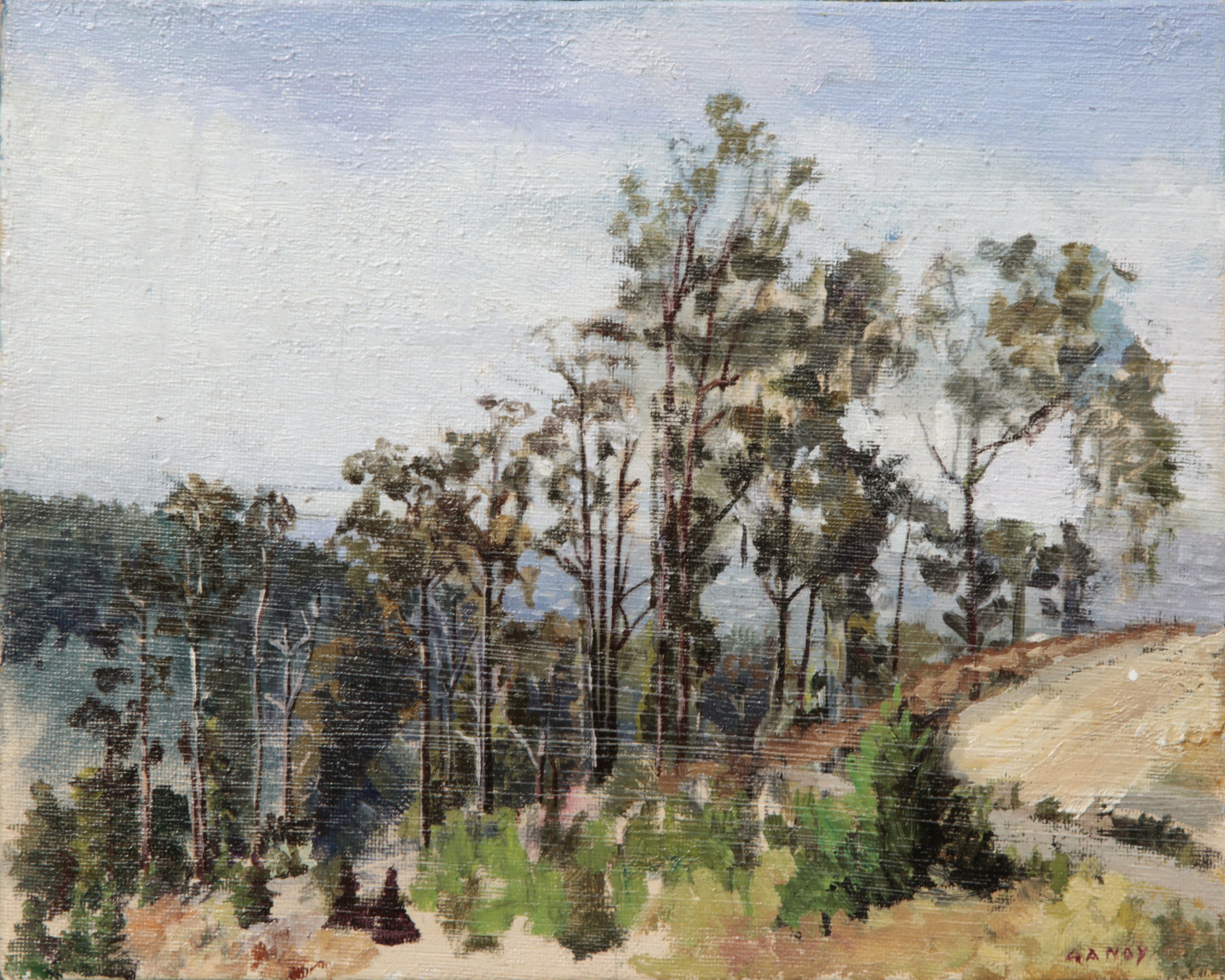 Line of Trees, Oakland