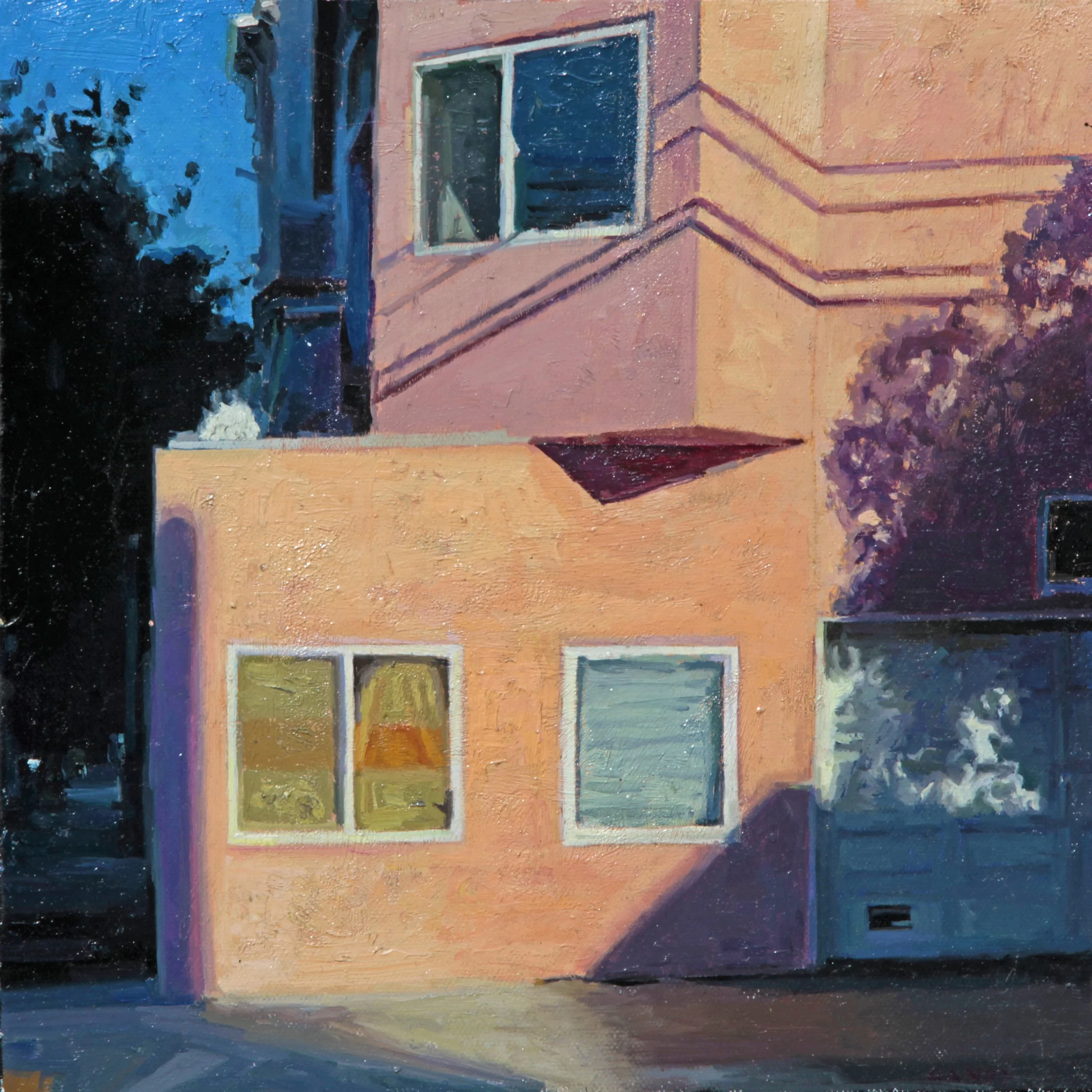 Pink House in the Marina