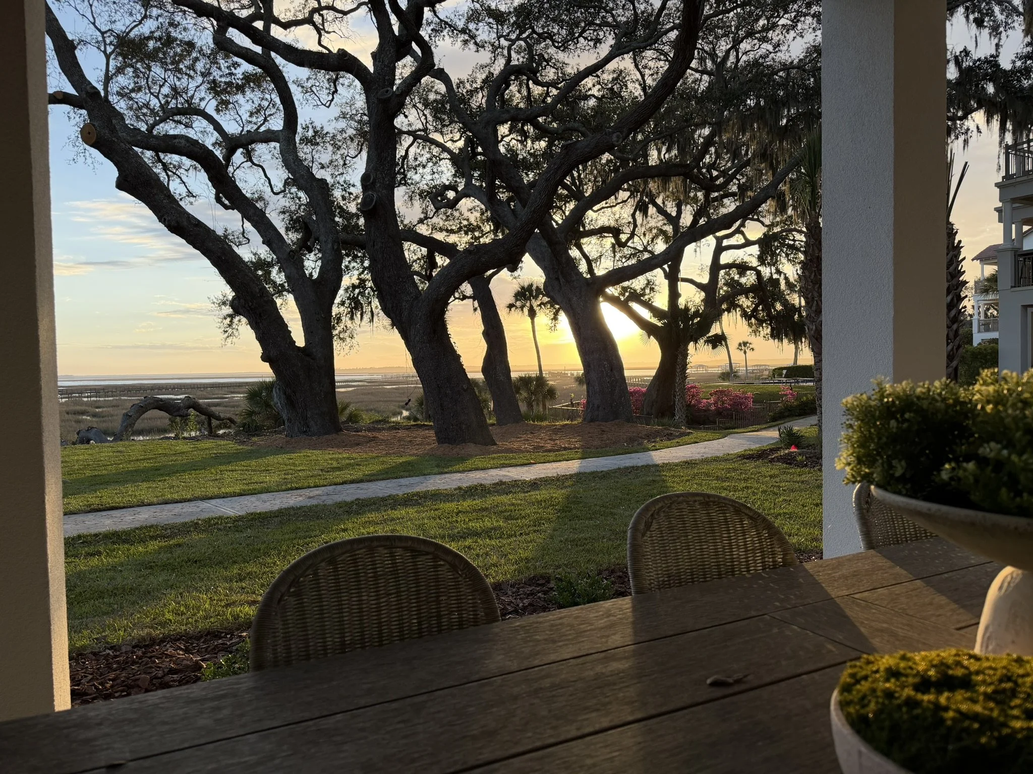 The Landings On Amelia River. View from a patio showing large trees with twisted branches, a grassy area, a walking path, and the sunset over a body of water in the distance.