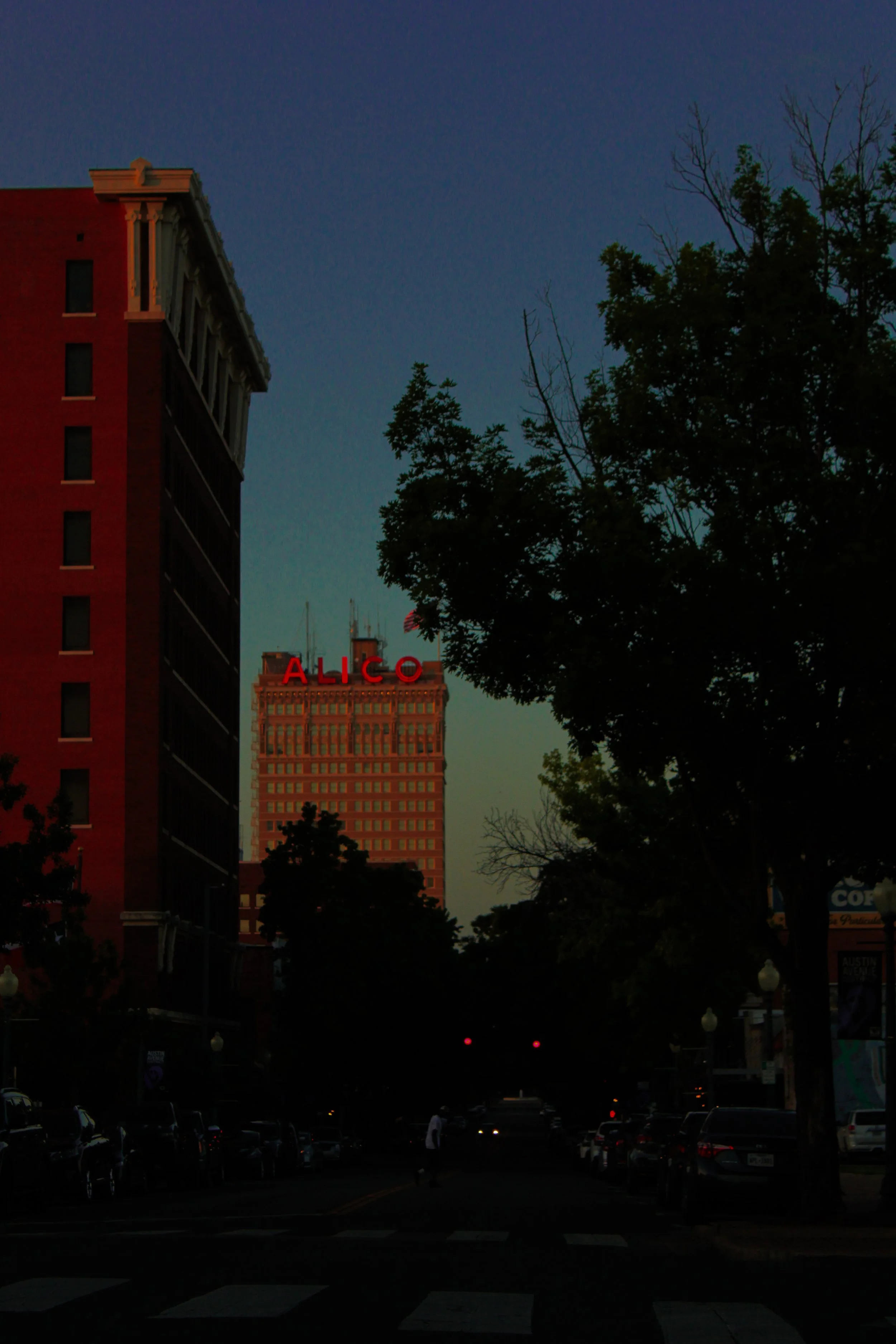 IMG_1232.jpg