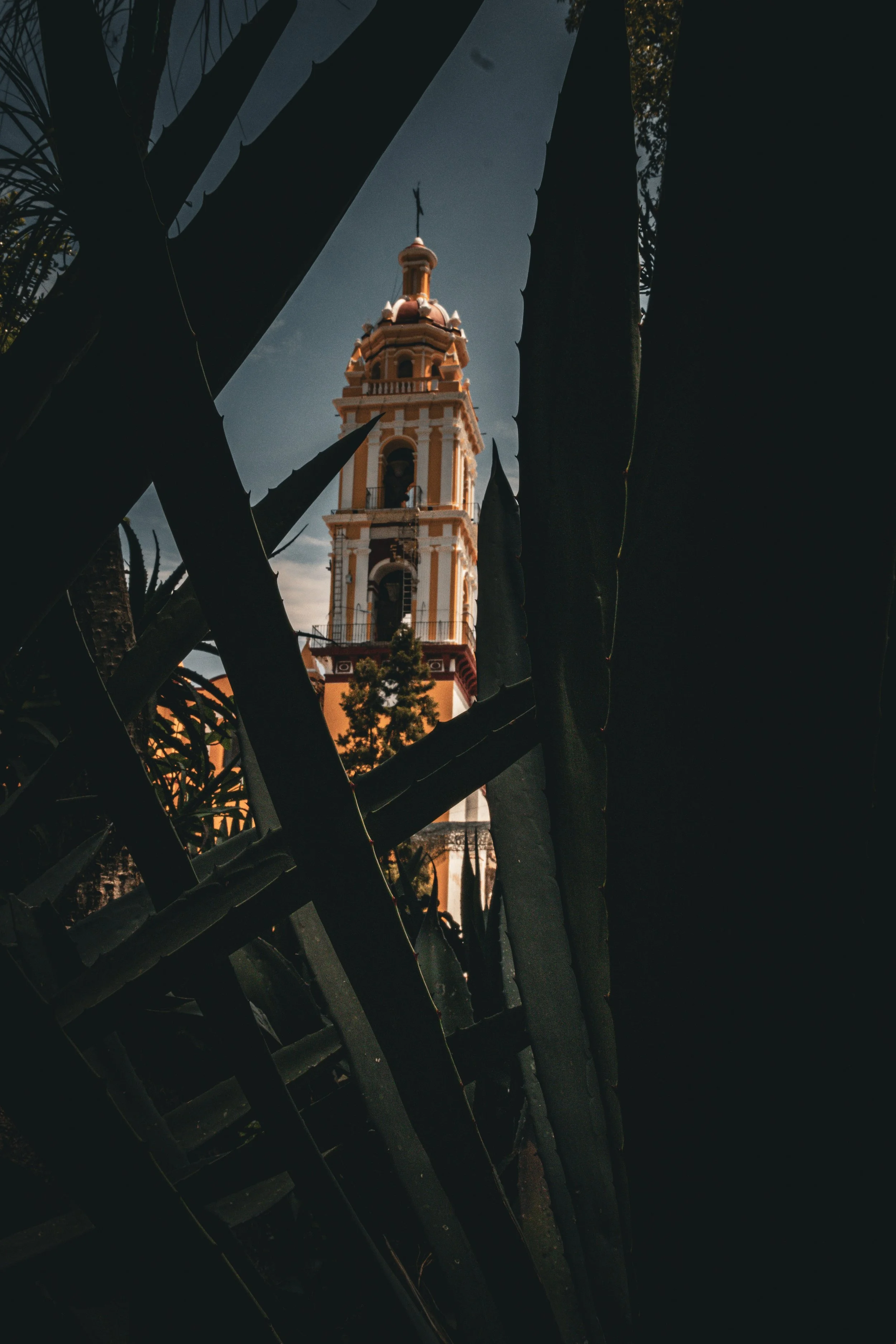 4-IMG_9883.jpg