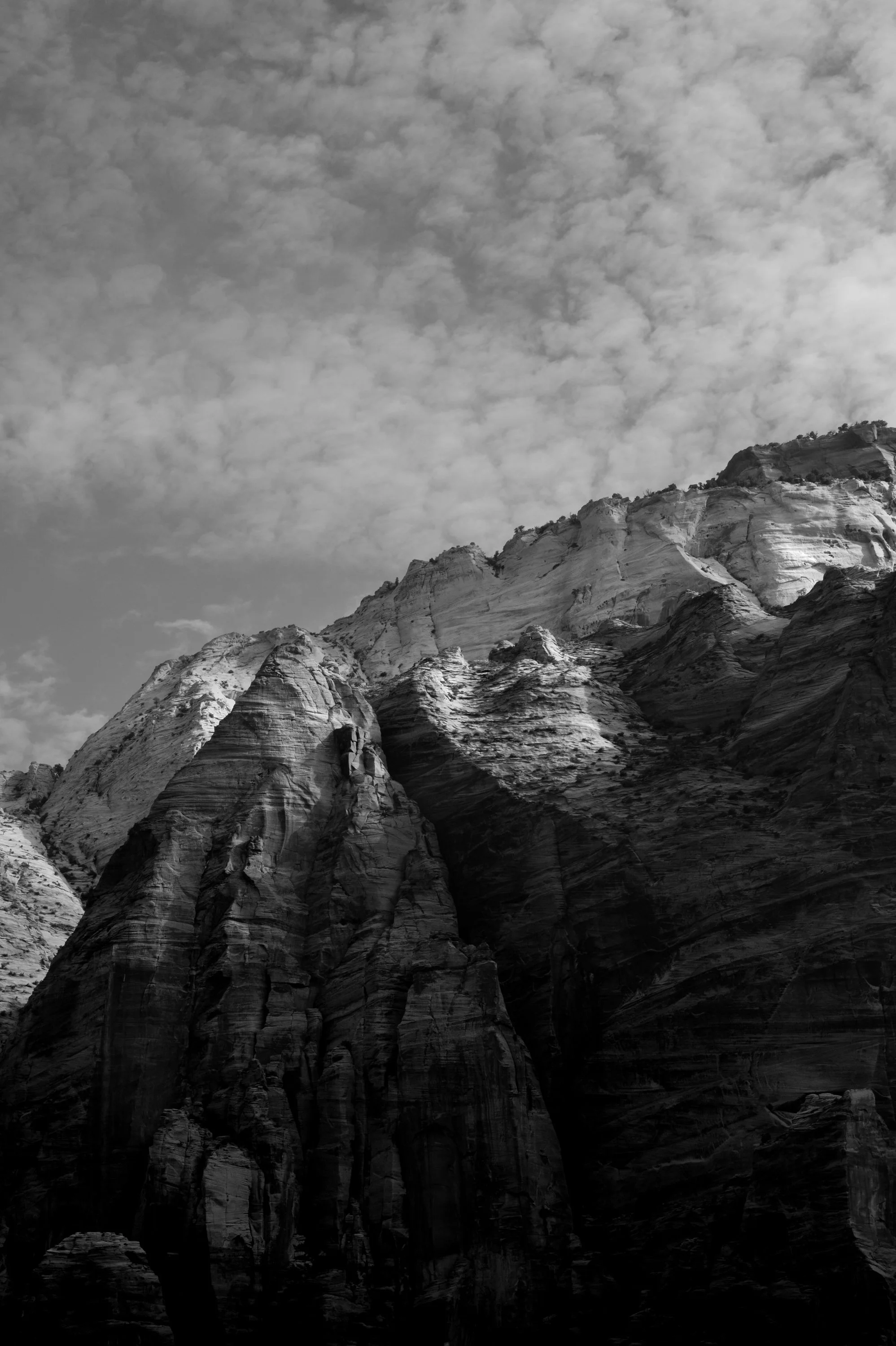 Capturing Zion Through My Lens