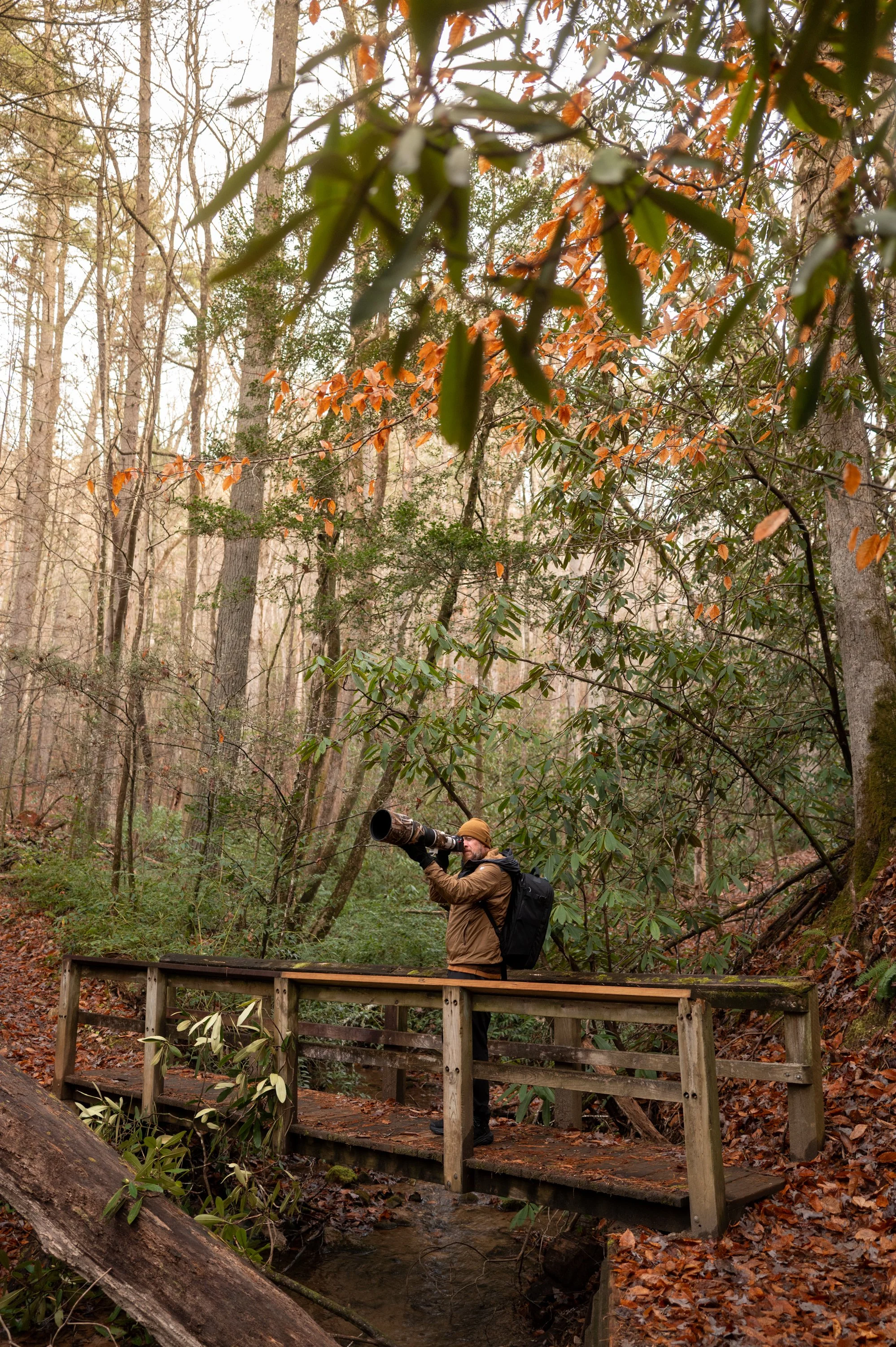 Quick trip to Georgia