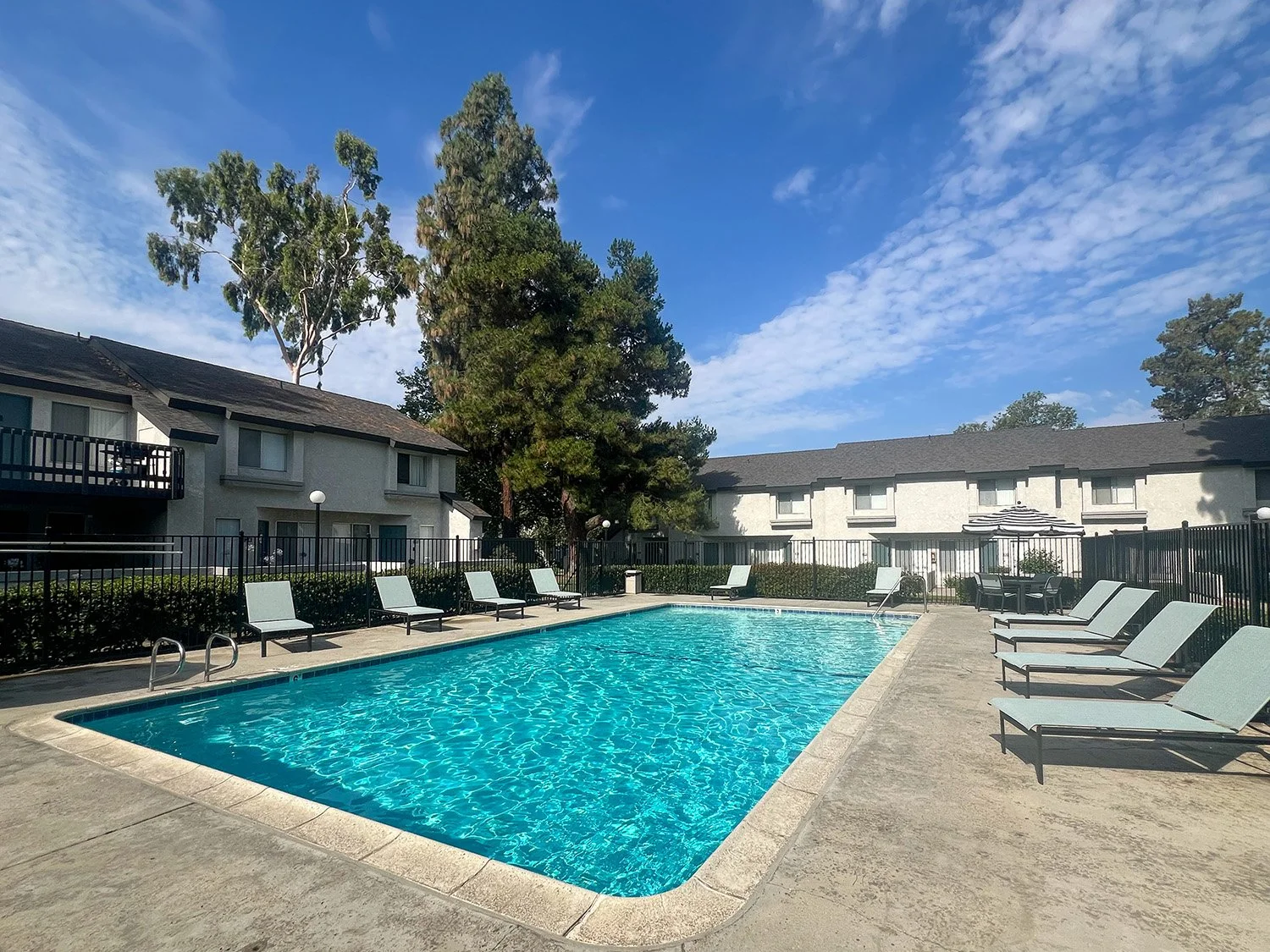 The sparkling swimming pool at Palm Village 