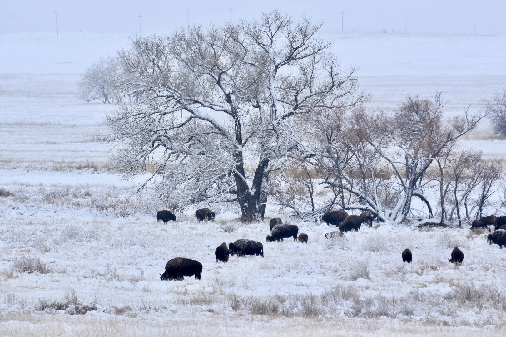 It’s here! Here’s what we know about Virginia’s adult-use cannabis bill