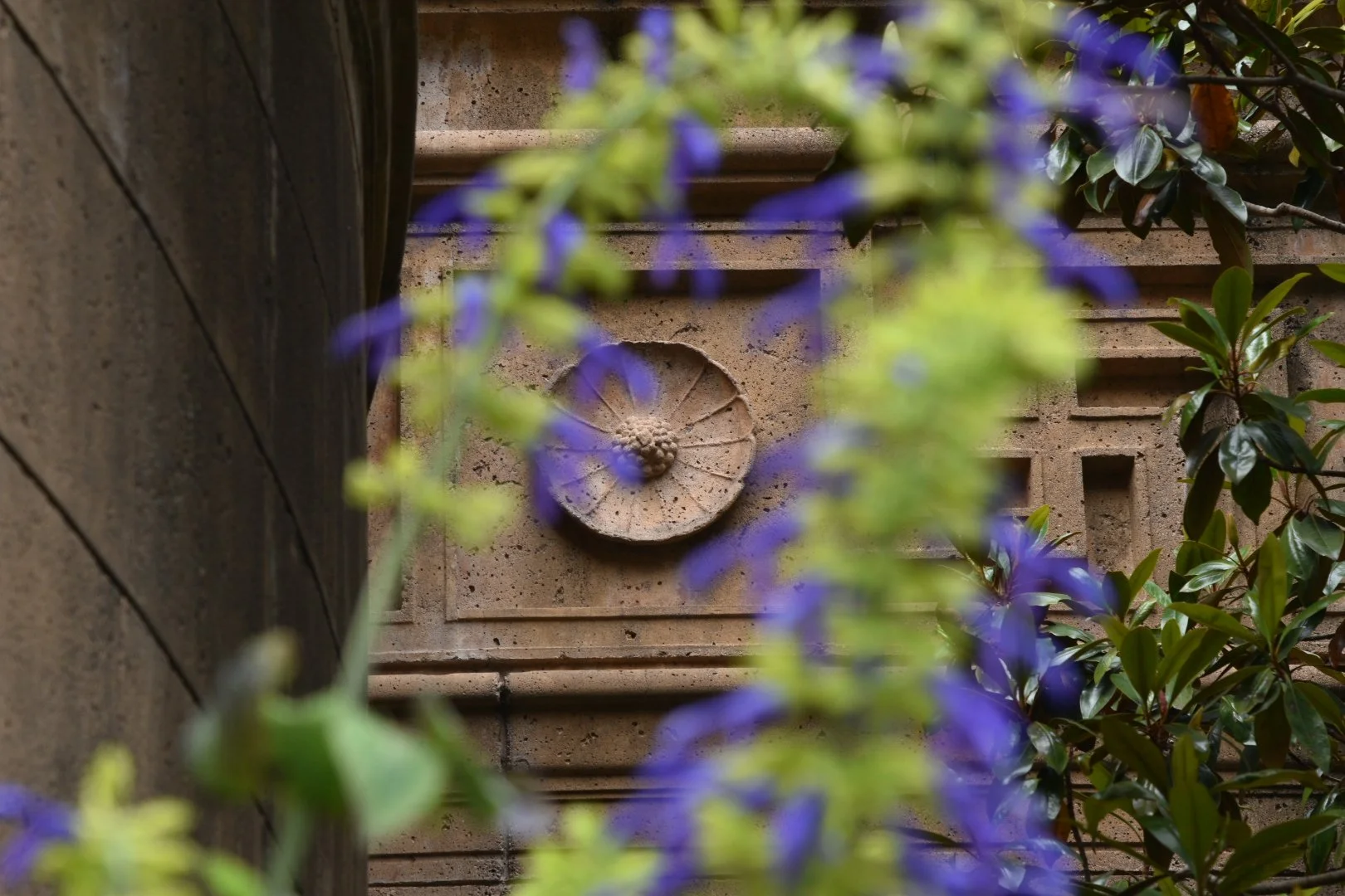 The latest Virginia cannabis news