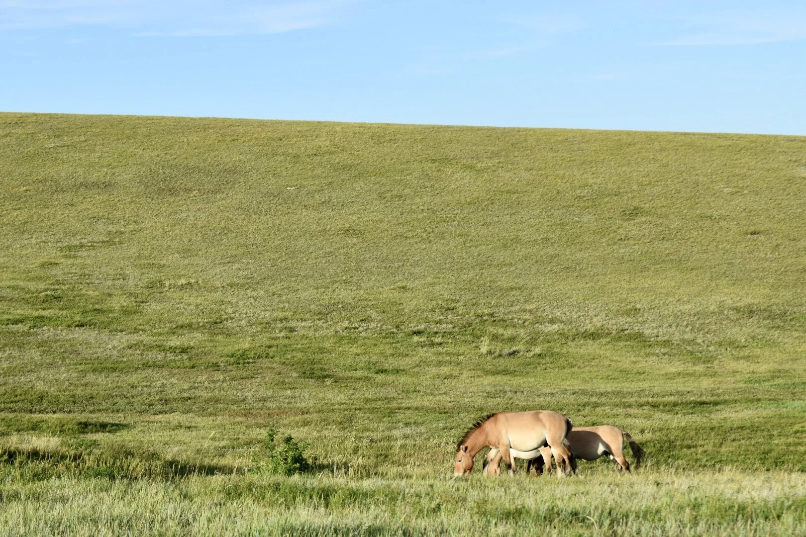 Passed! What’s Next in Virginia Cannabis