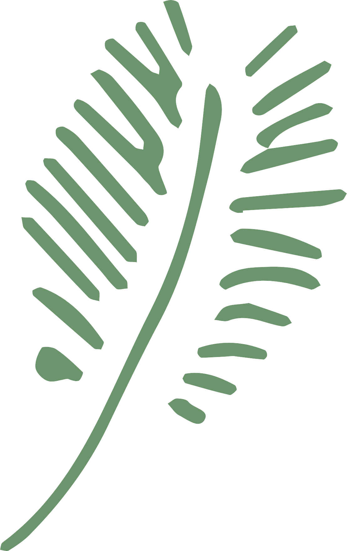 Green Leaf on Transparent.png