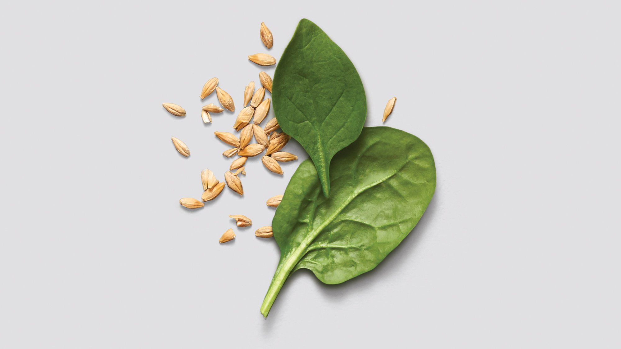 BYD_Spinach_website.jpg