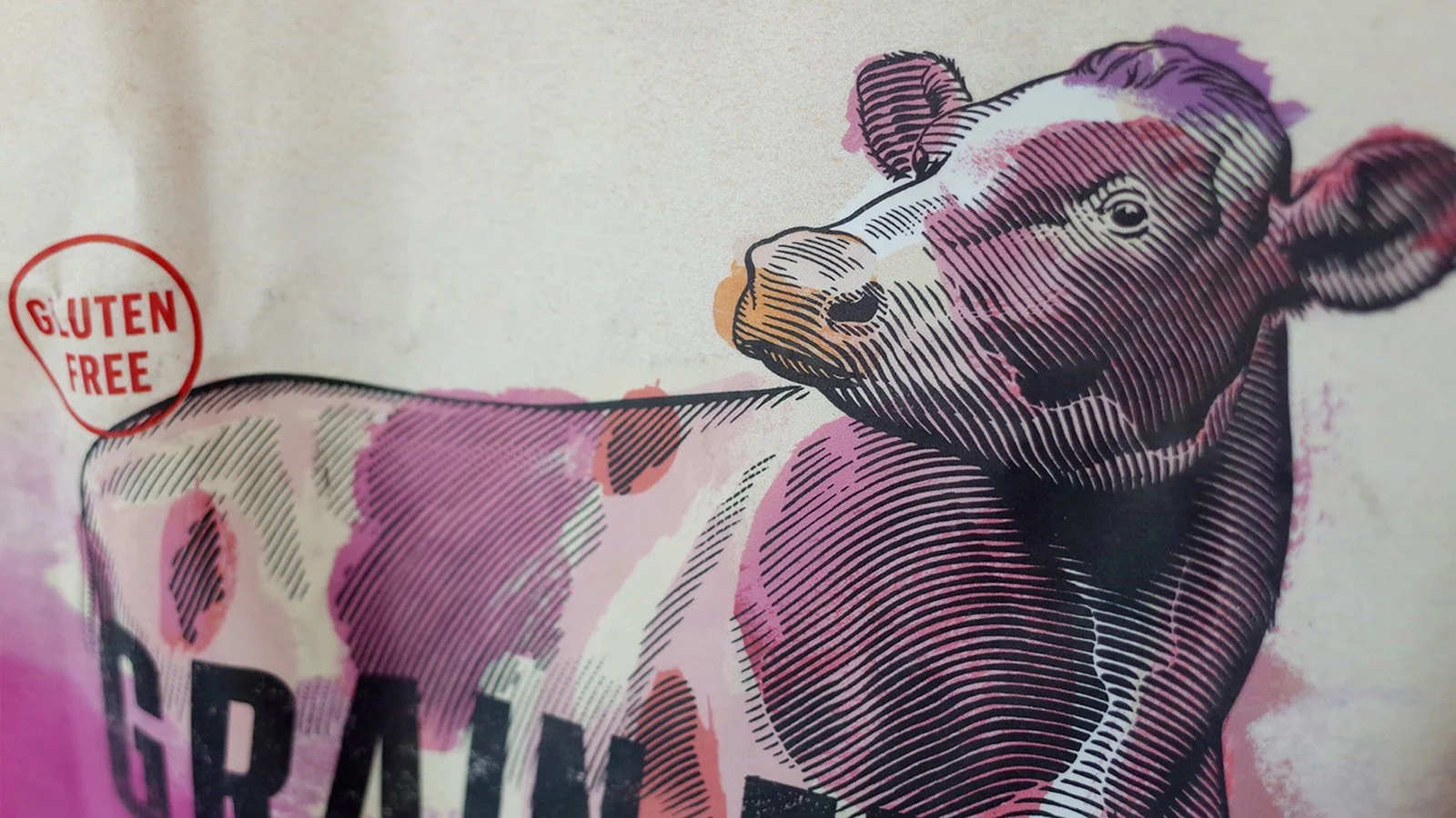 BYD_Bag_Closeup_Dog_GF_Beef_website.jpg