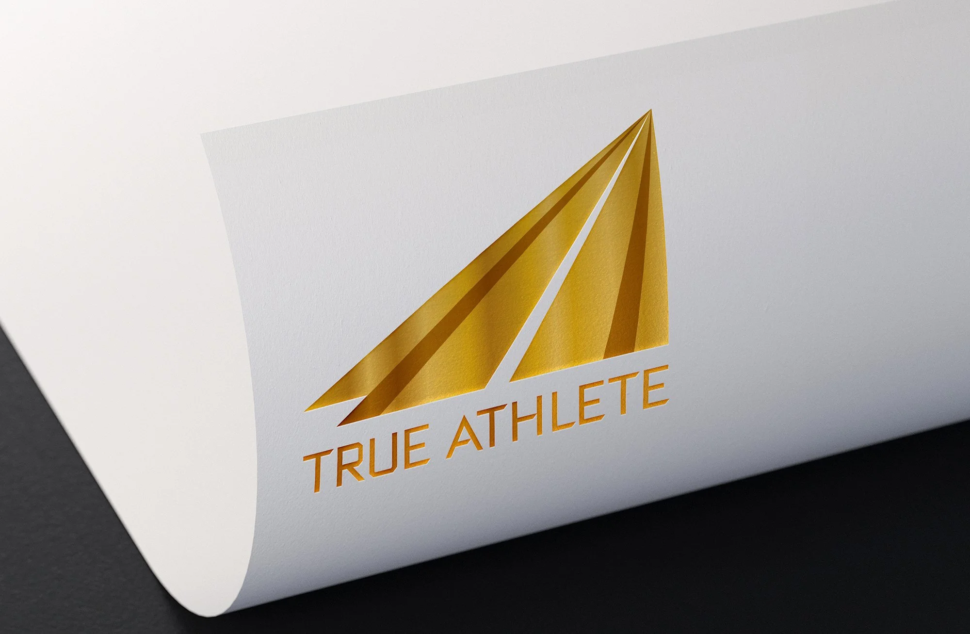 TA_Logo_Embossed_website.jpg