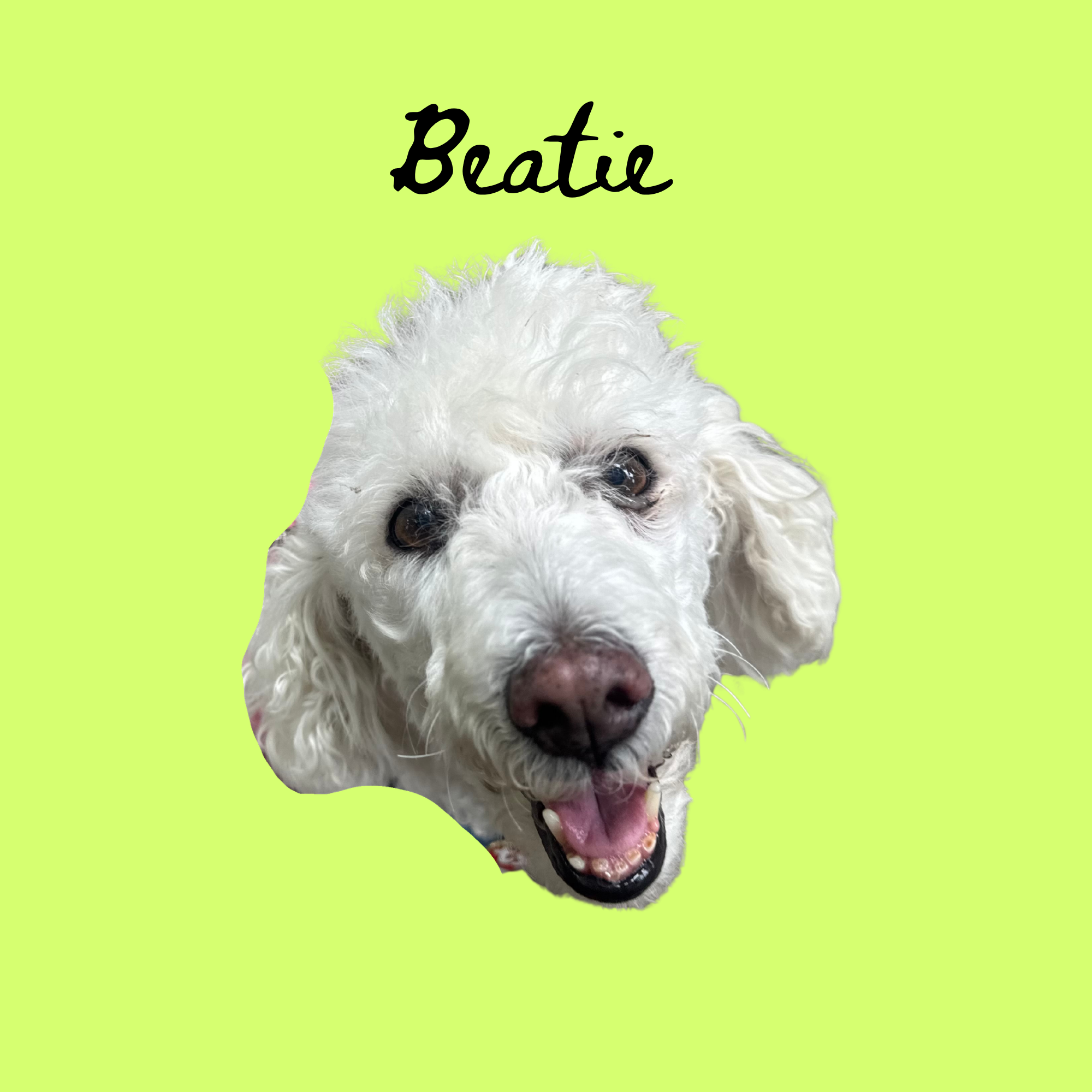 Untitled (Poster (Square)) (11).png