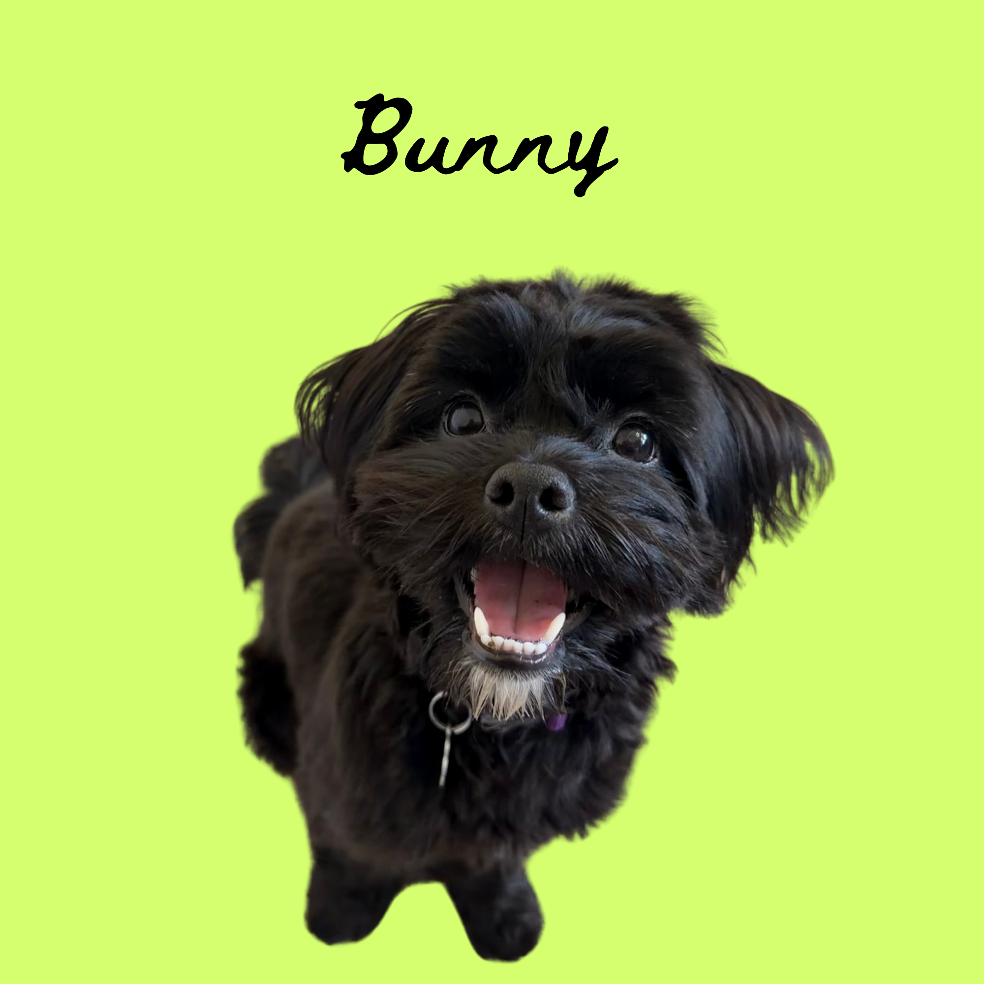 Untitled (Poster (Square)).png