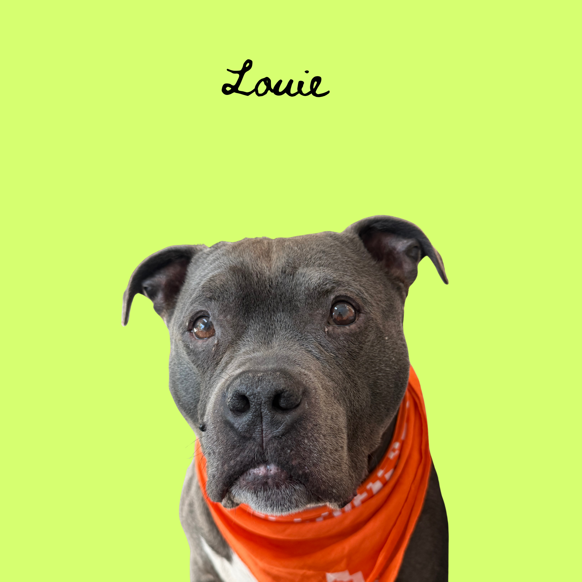 Untitled (Poster (Square)) (13).png