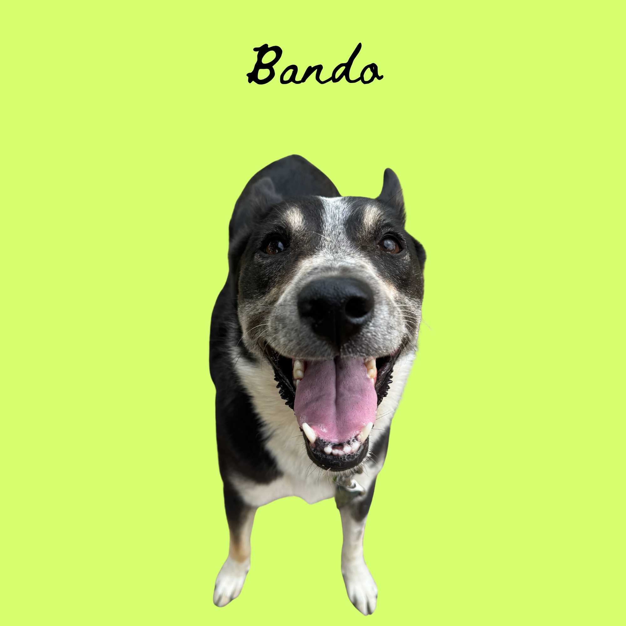 Untitled (Poster (Square)) 2.png