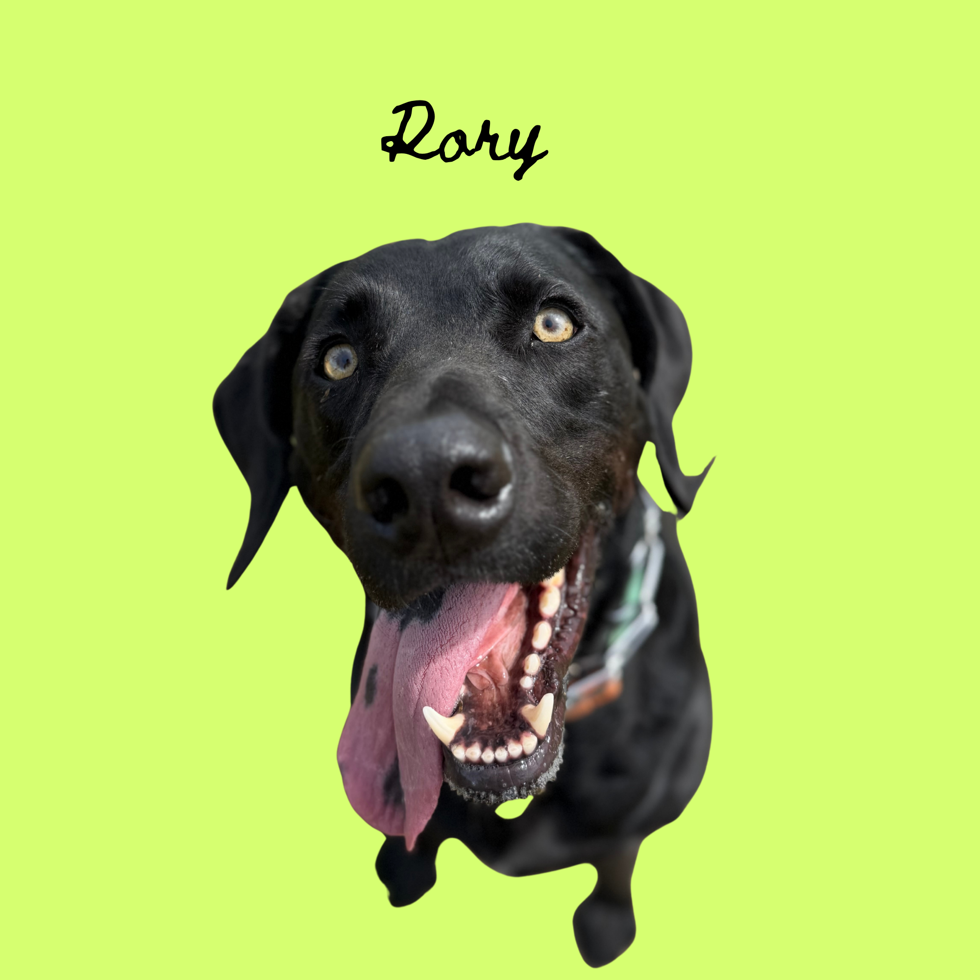 Untitled (Poster (Square)) (12).png