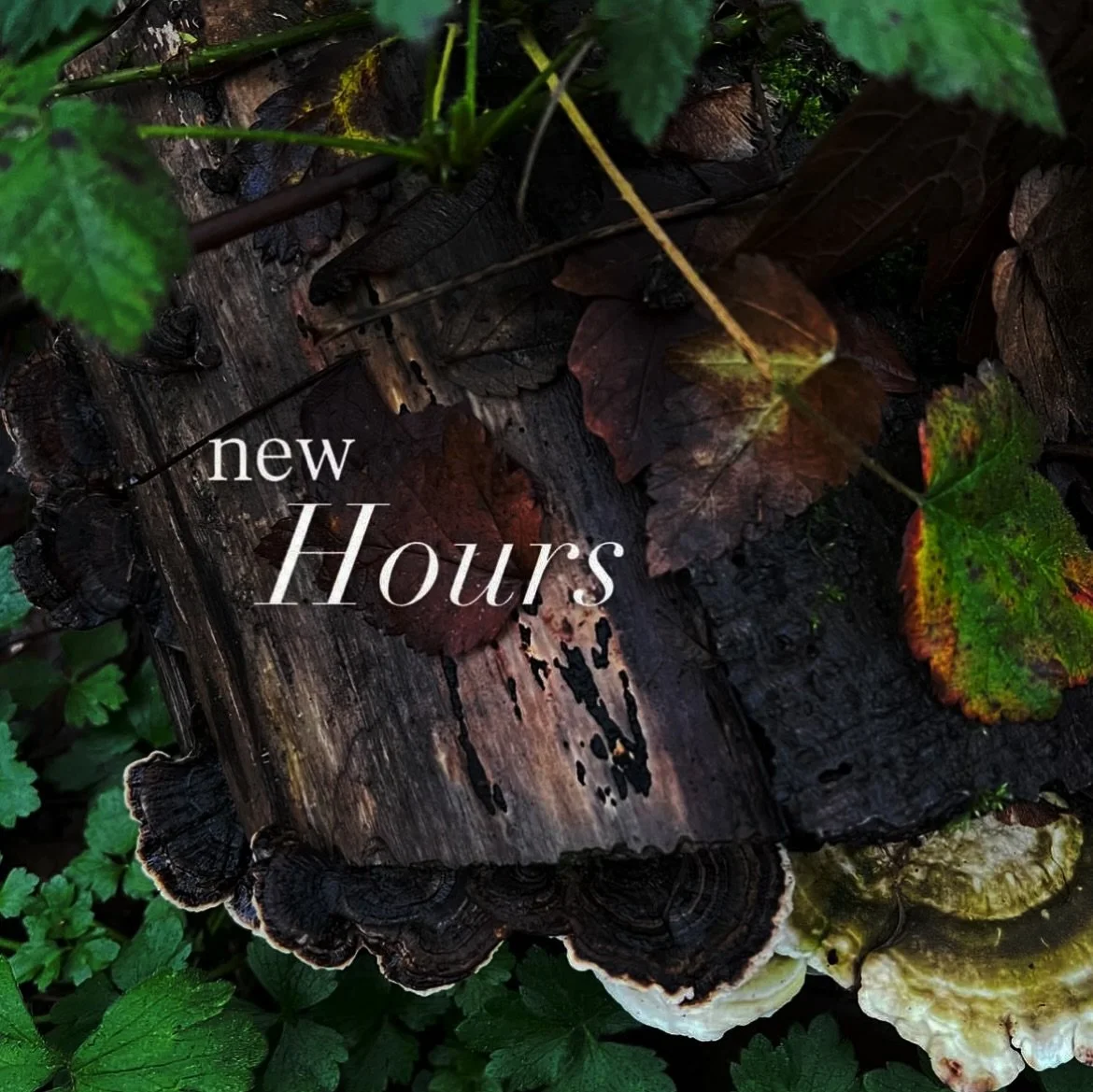 Winter is in it&rsquo;s last chill, the first of the spring flowers are peaking through, and we are gently stretching into our roots new growth as we eagerly await springs arrival 🌱

New hours of operation start this Sunday ☁️Book some time to nouri