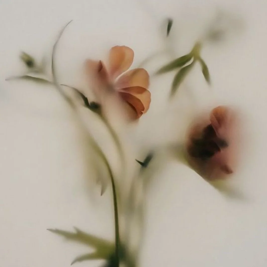 Having someone bear witness to our journey allows us to witness ourselves a bit more clearly. We hold your trust to tend to you with so much love, we hope you feel it in every session. We&rsquo;re honored to be part of your path back to yourself. 

F