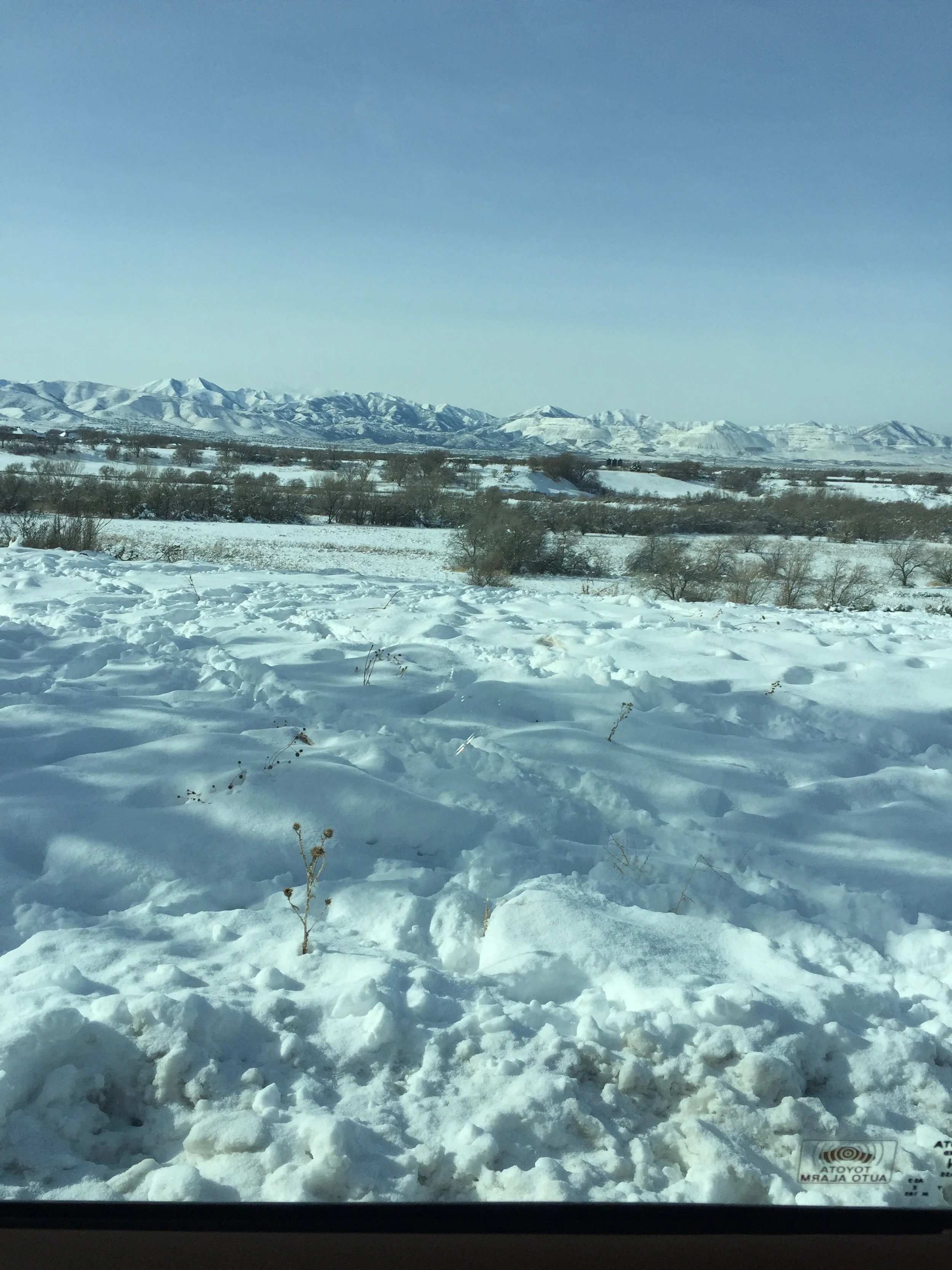 IMG_3077.jpeg