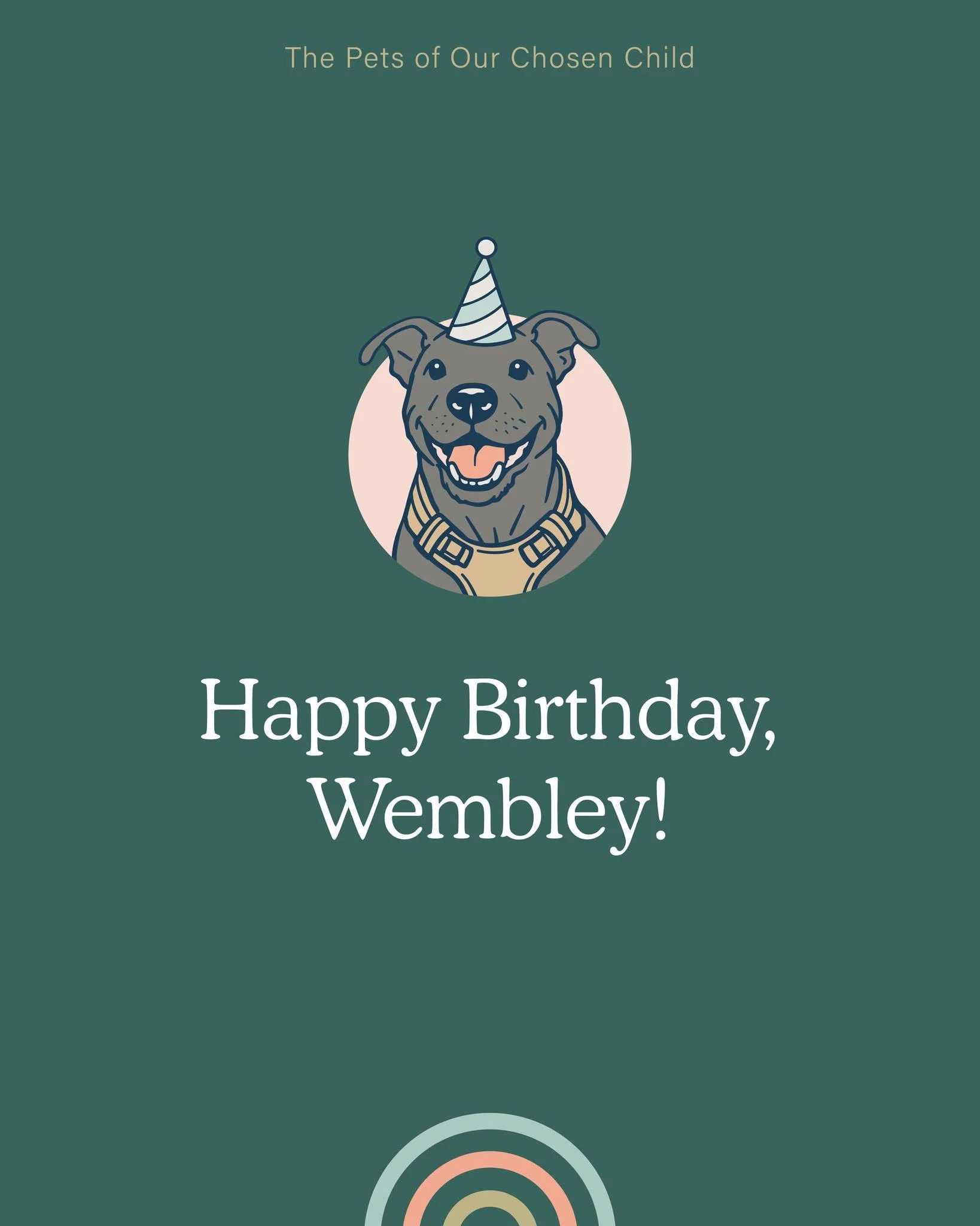 Another birthday in the OCC office&hellip; and this one involves fur 🐶🎉 Today we&rsquo;re celebrating Wembley, Hannah&rsquo;s sweet pup. Happy Birthday Wembley!!

#OCCPets #OfficeAssistants #OurChosenChild