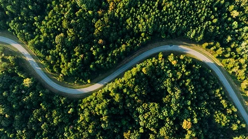 A winding road running through a lush, green forest from an aerial view.