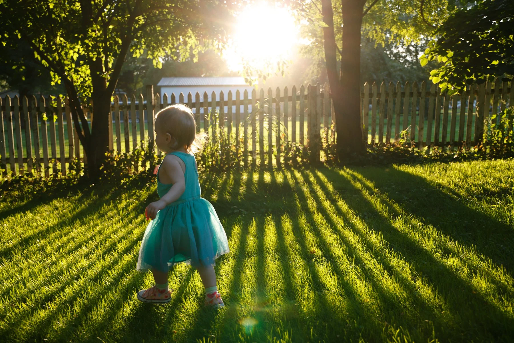 Small child in blue dress running in green grass with trees and sunset causing line shadows through white picket fence