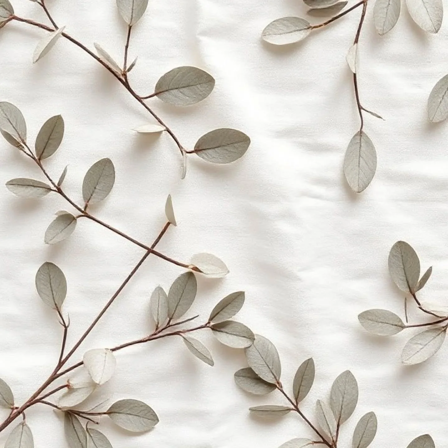 Quiet growth behind the scenes. Slow growth, deep roots 🌿🌱
#ProcessImprovement
#BusinessEfficiency
#OperationalExcellence
#ProcessOptimization
#LeanSixSigma
#ContinuousImprovement
#SmallBusinessTips
#BackOfficeSolutions
#BusinessConsulting
#Automa