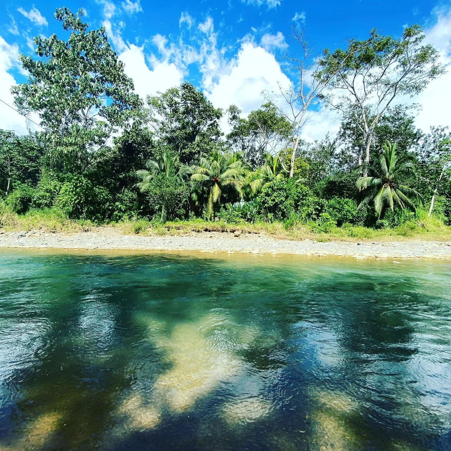 A tropical river with clear water flowing past a sandy and rocky shore, backed by lush green trees and palm trees under a blue sky with clouds.