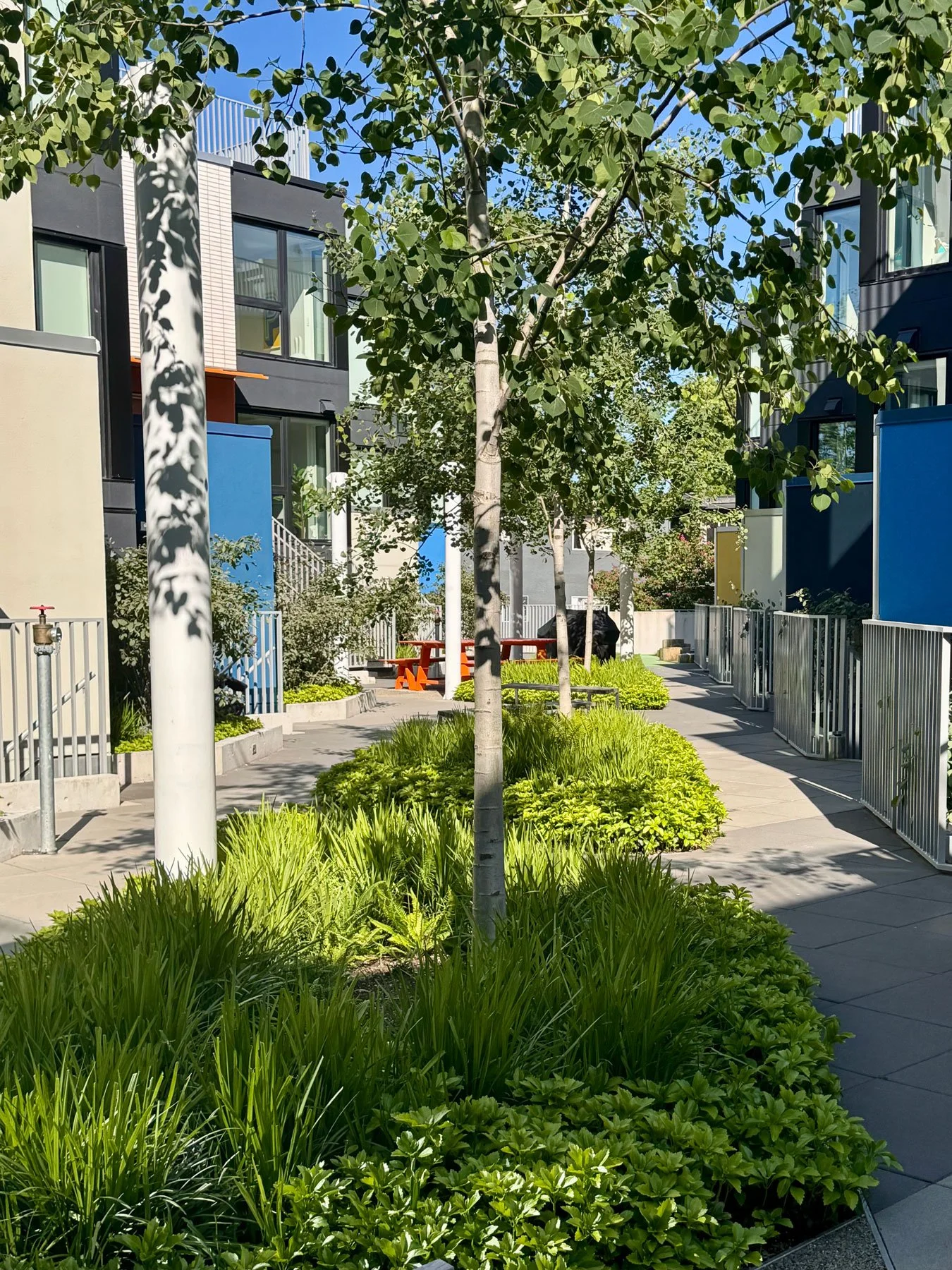 Considered Design Vancouver  courtyard Landscape Architecture for E15 landscape architecture project