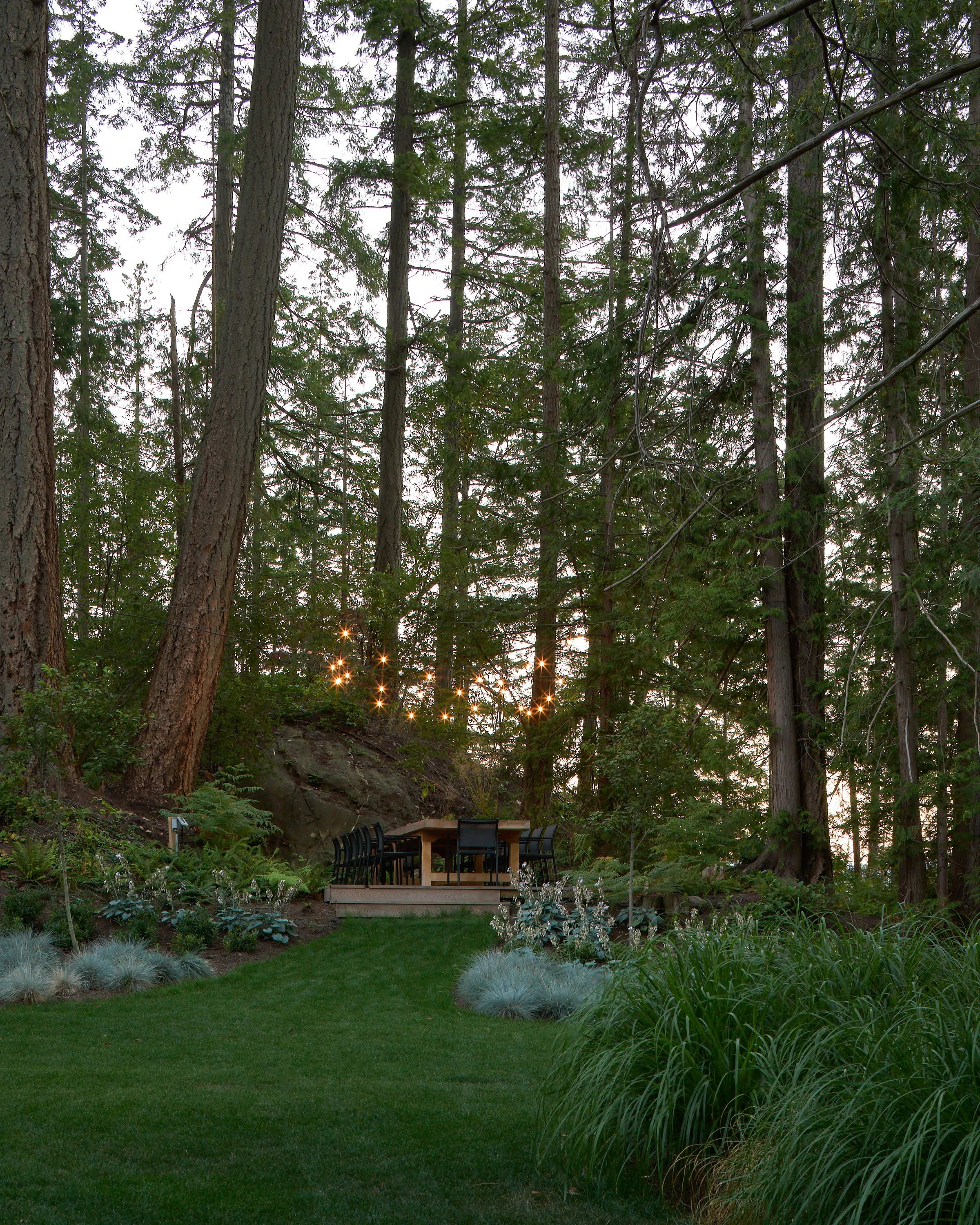 Considered Design Private Island BC_SJC3950_web.jpg