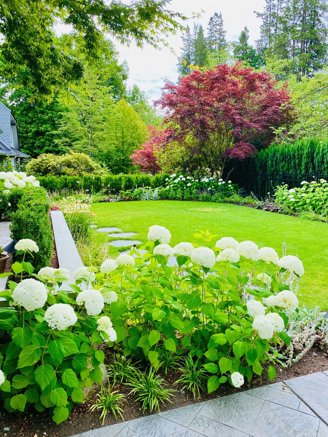 Shaughnessy_Considered-Design-Inc.jpg
