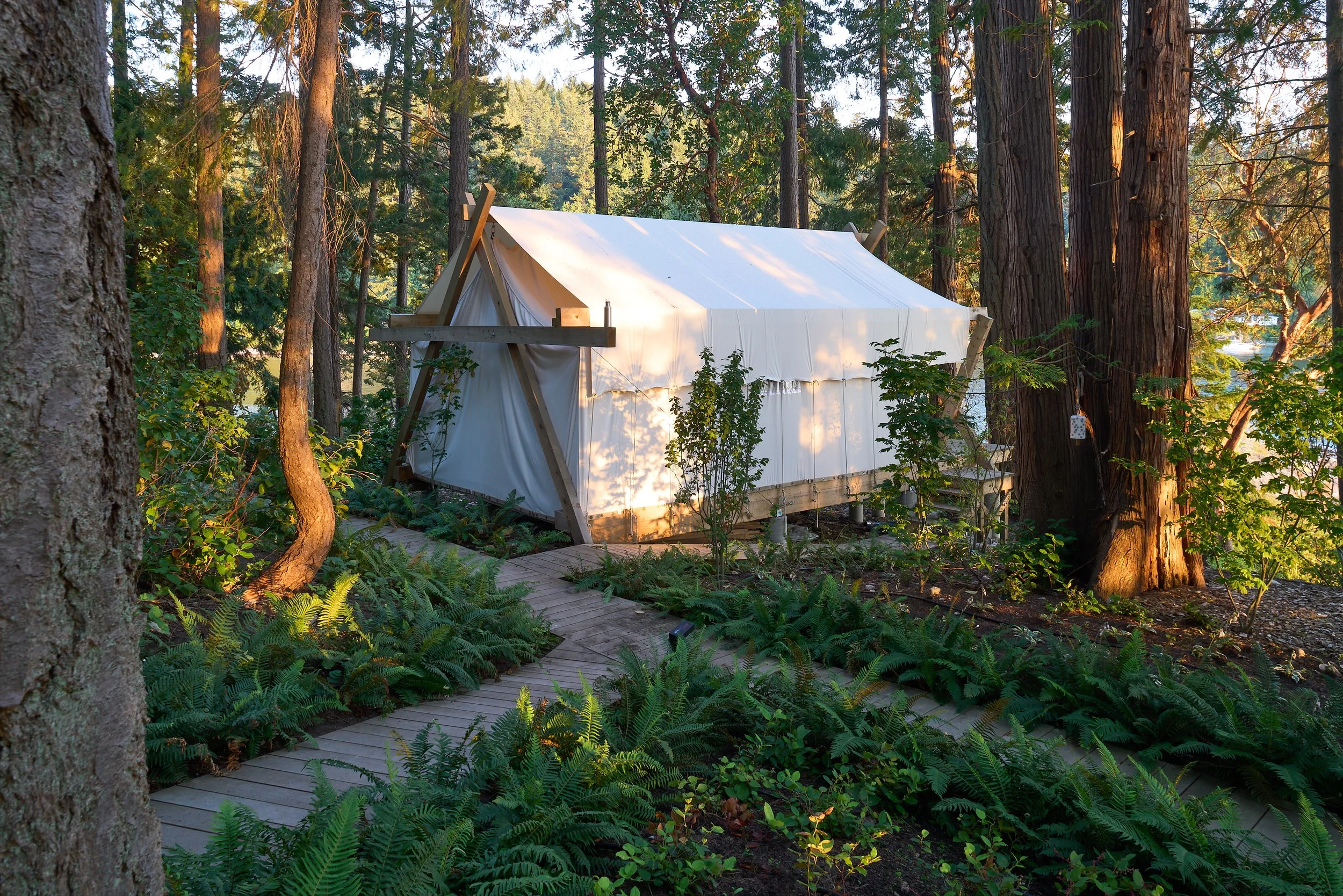 Considered Design Private Island BC_SJC3945_web.jpg