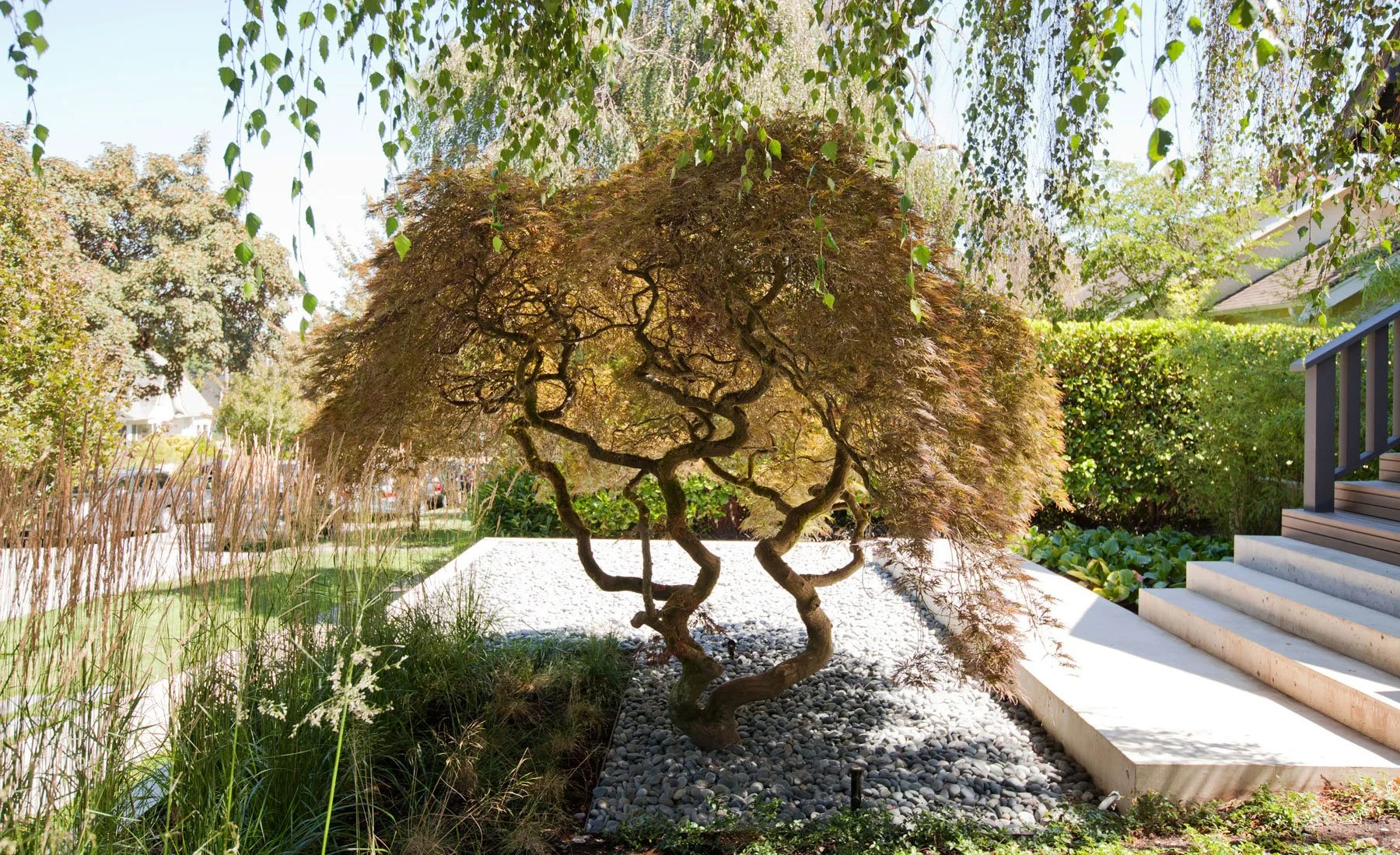 Considered Design - Dunbar_7665.jpg