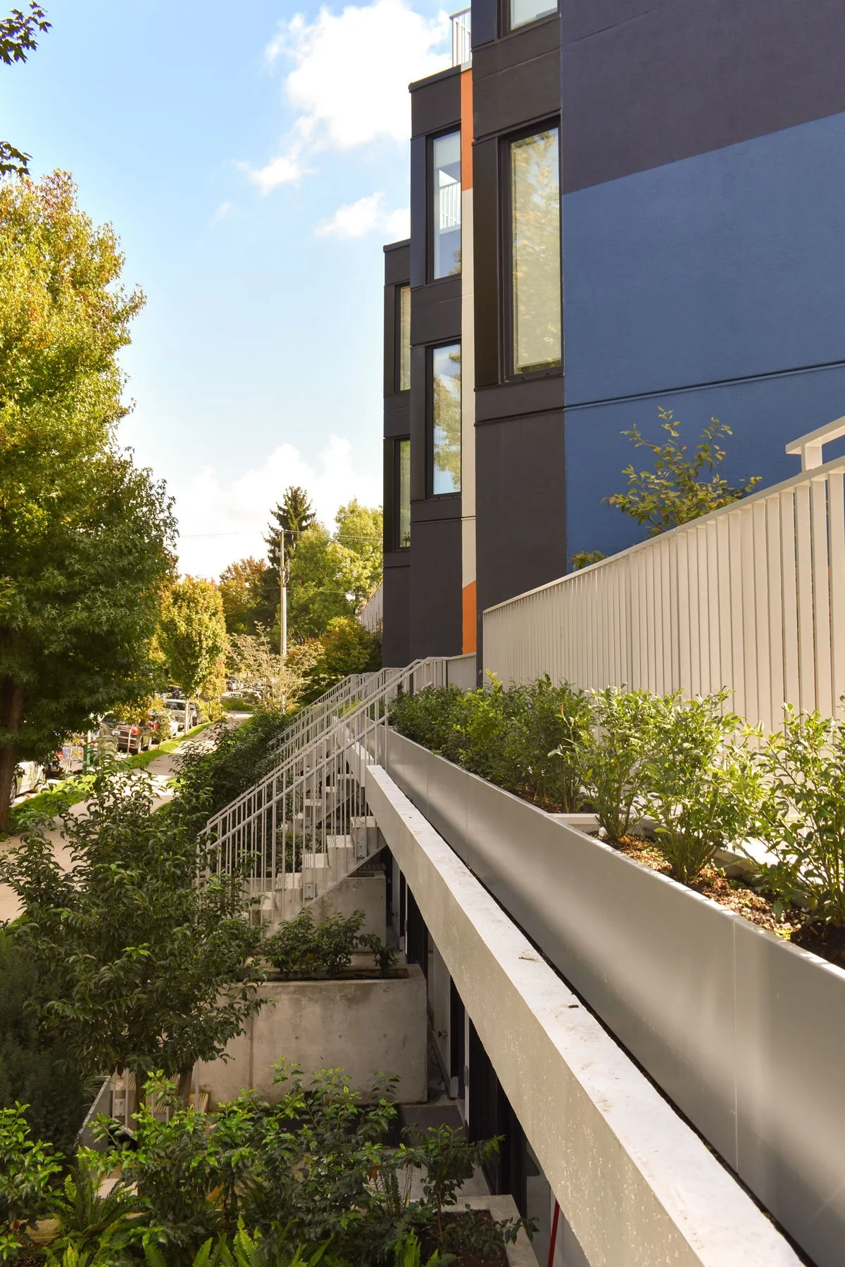Considered Design Vancouver planting scheme Patio Screening Planting from E15 landscape architecture project