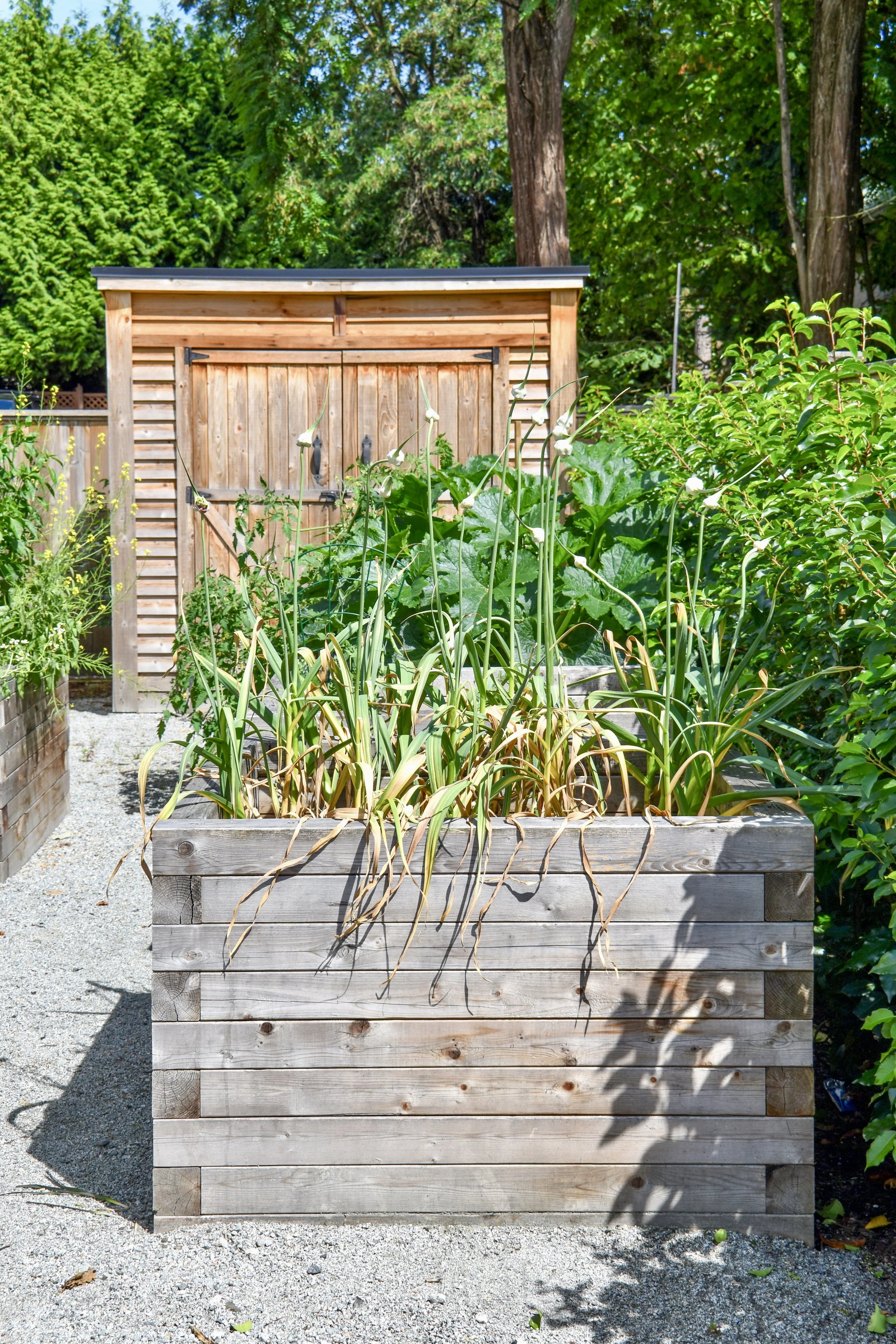 Considered Design - LavalSQ_1663.JPG