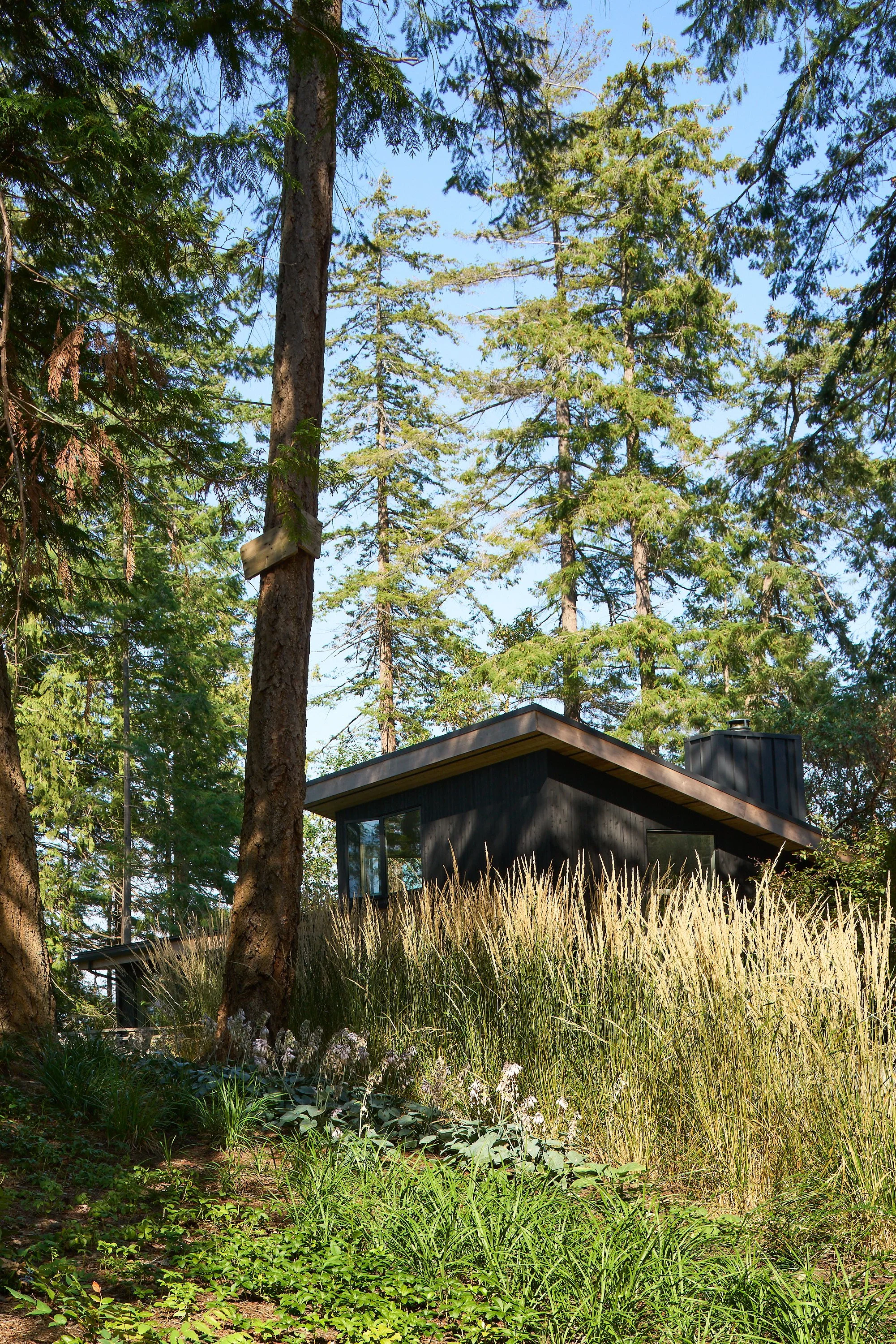 Considered Design Private Island BC_SJC3893_web.jpg