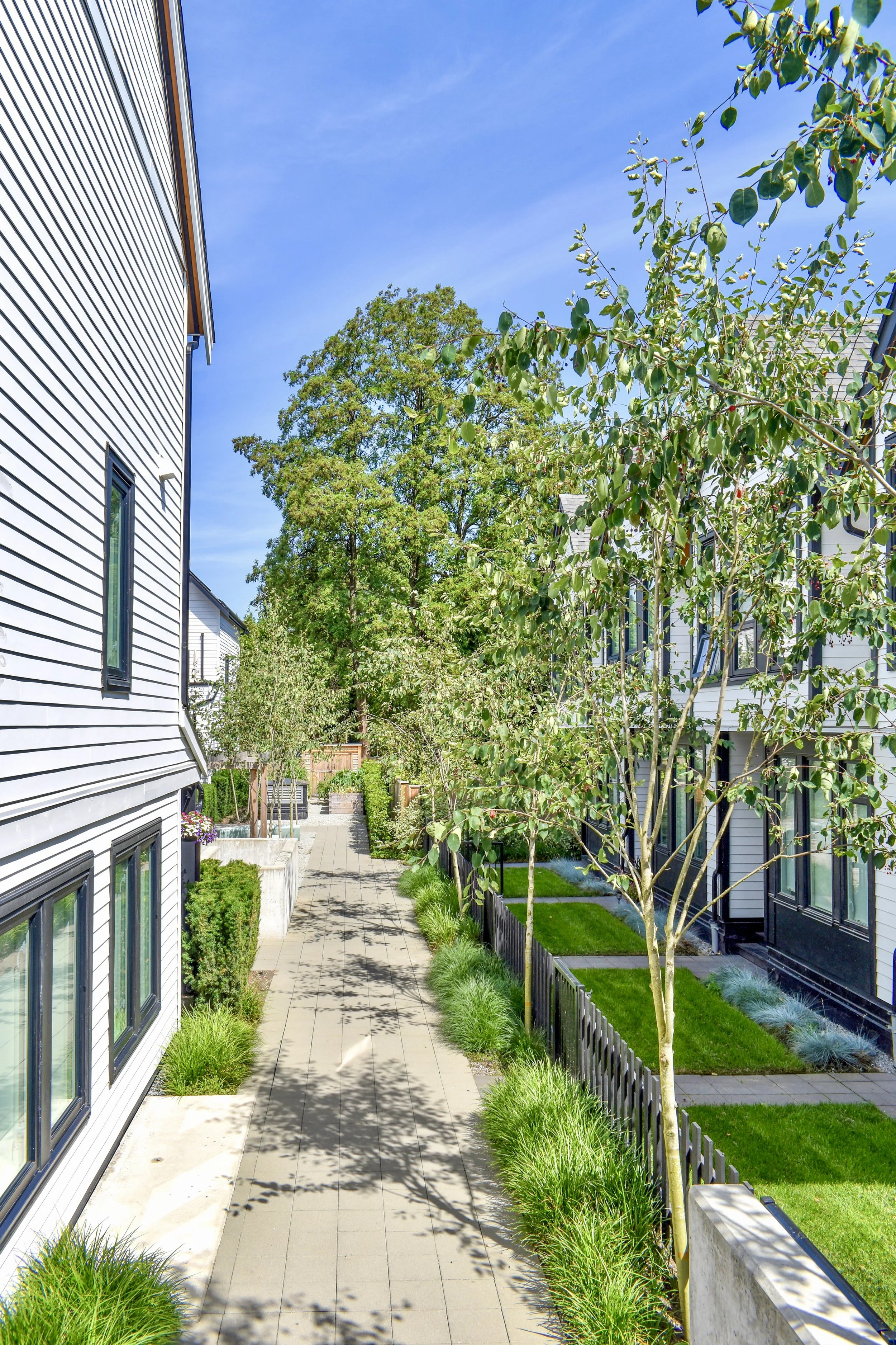 Considered Design - LavalSQ_1674.JPG