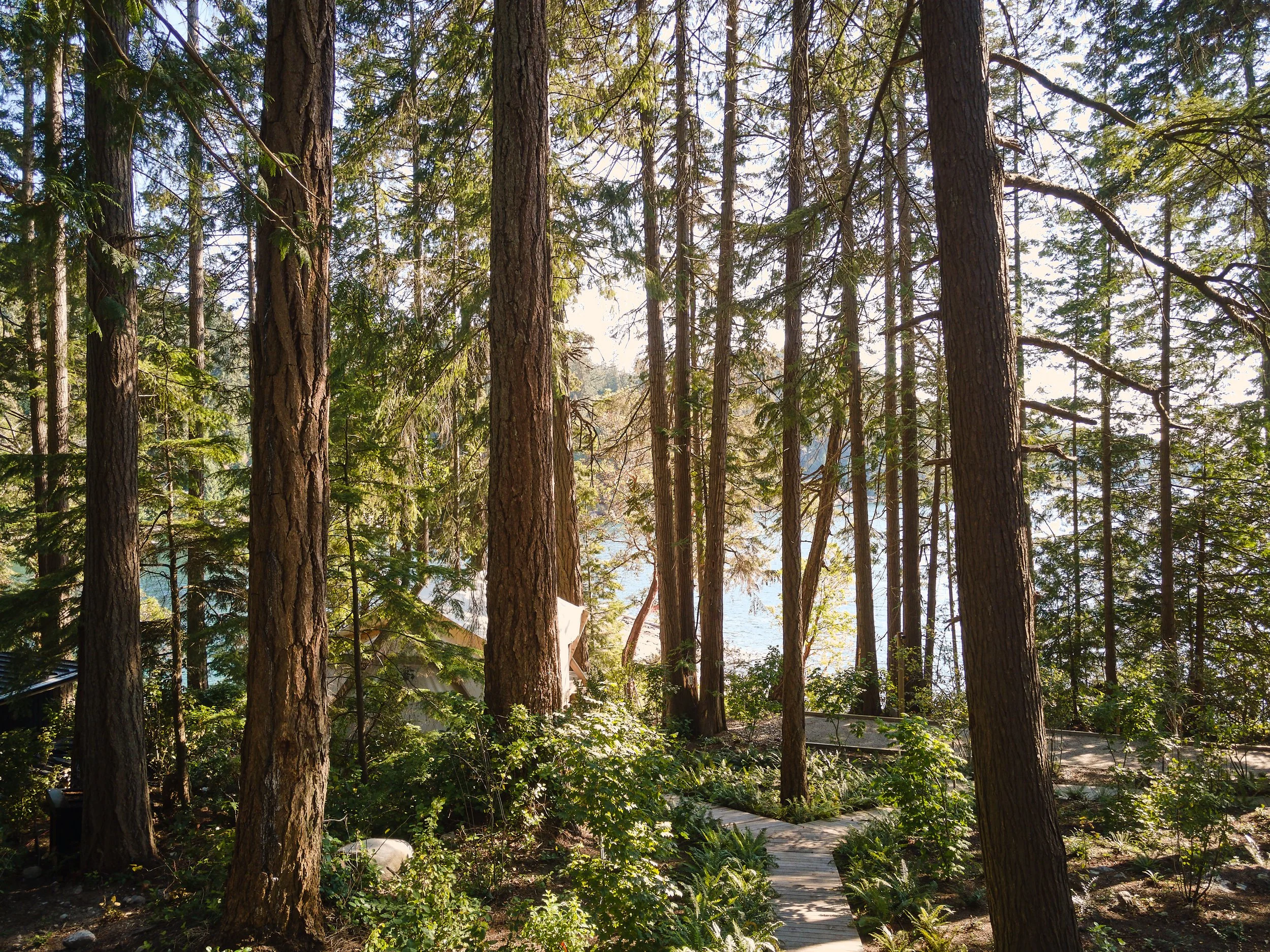 Considered Design Private Island BCDJI_0198_web.jpg