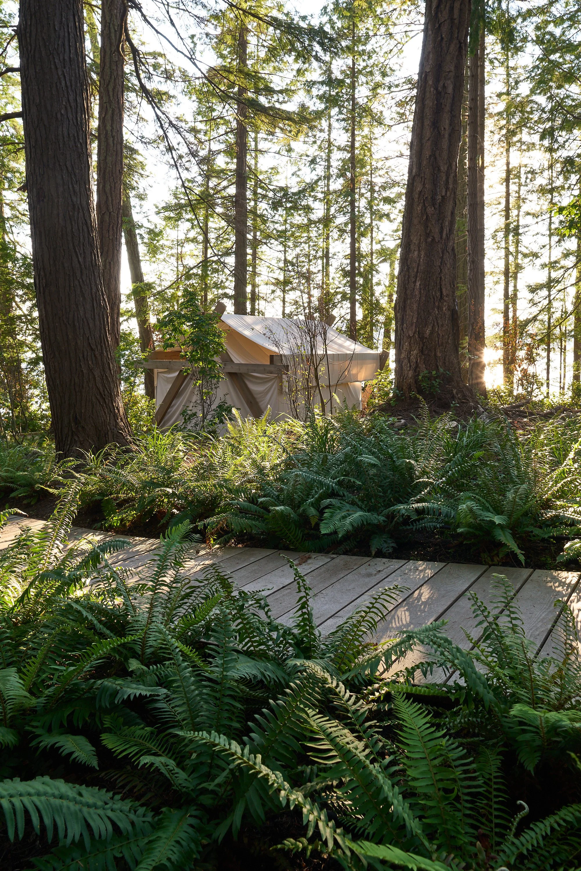 Considered Design Private Island BC_SJC3929_web.jpg