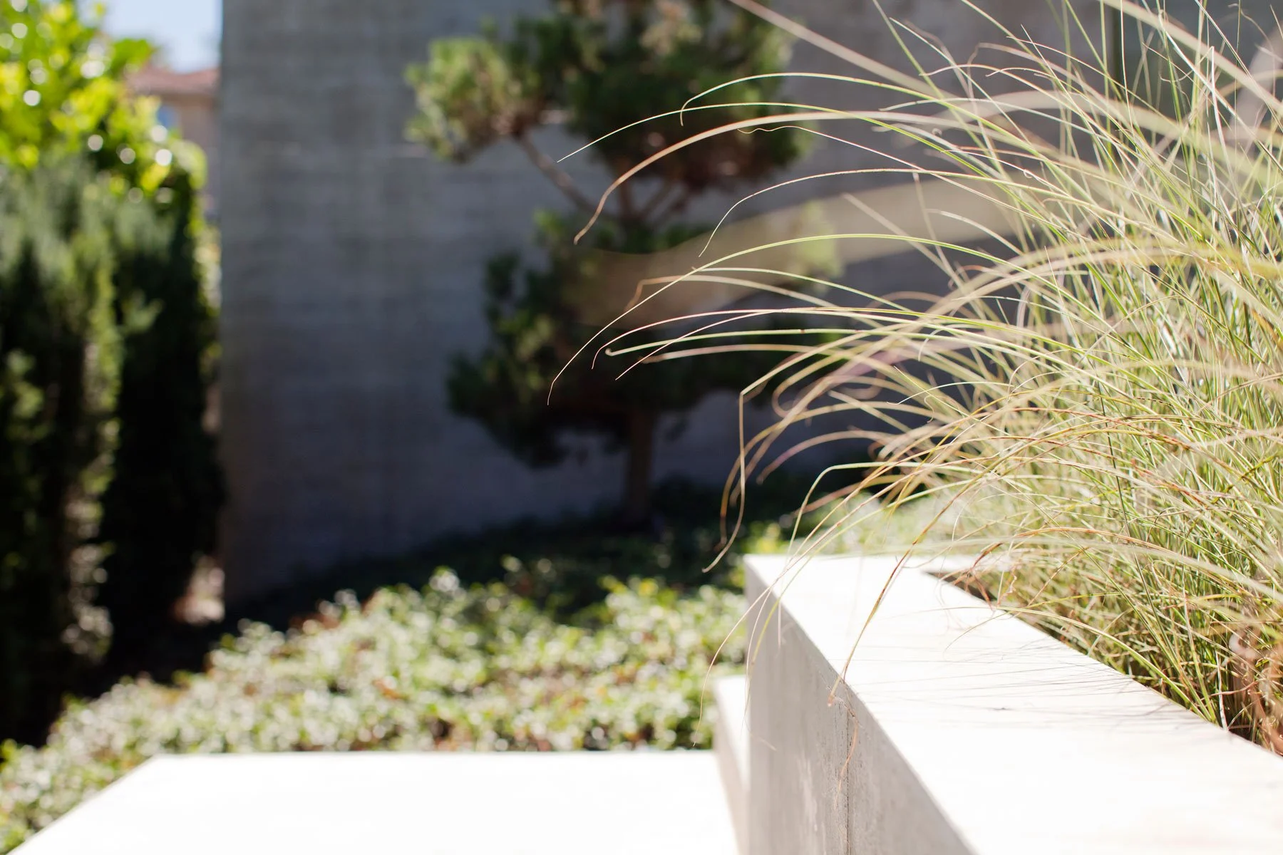 Considered Design - Dunbar_7641.jpg