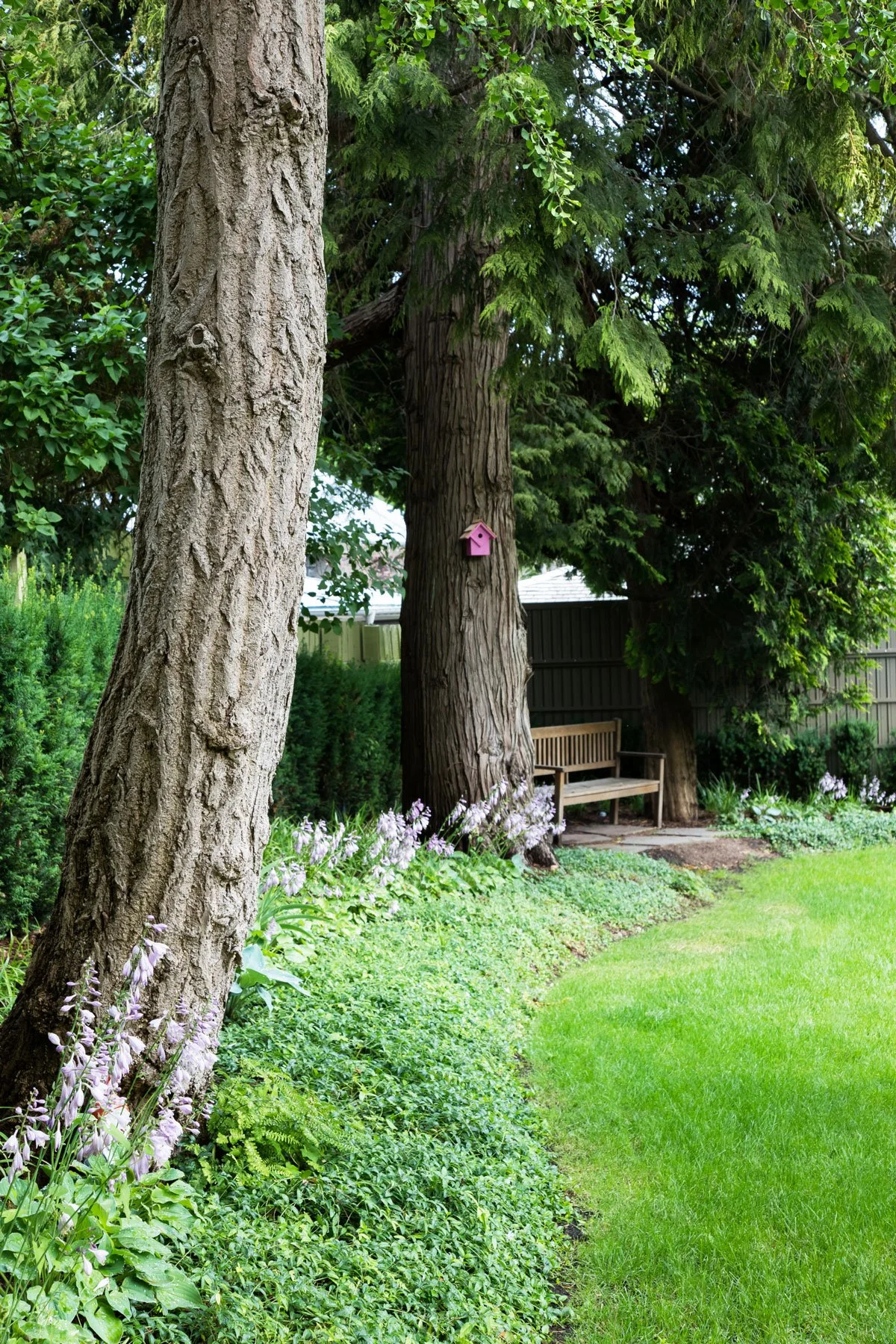 Shaughnessy_Nicole Gurney_Considered Design Inc_7758.jpg