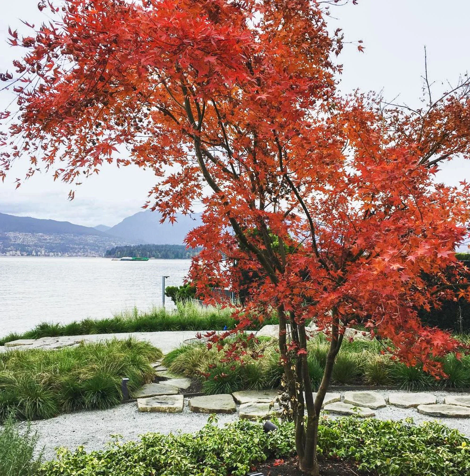 Point Grey, Vancouver