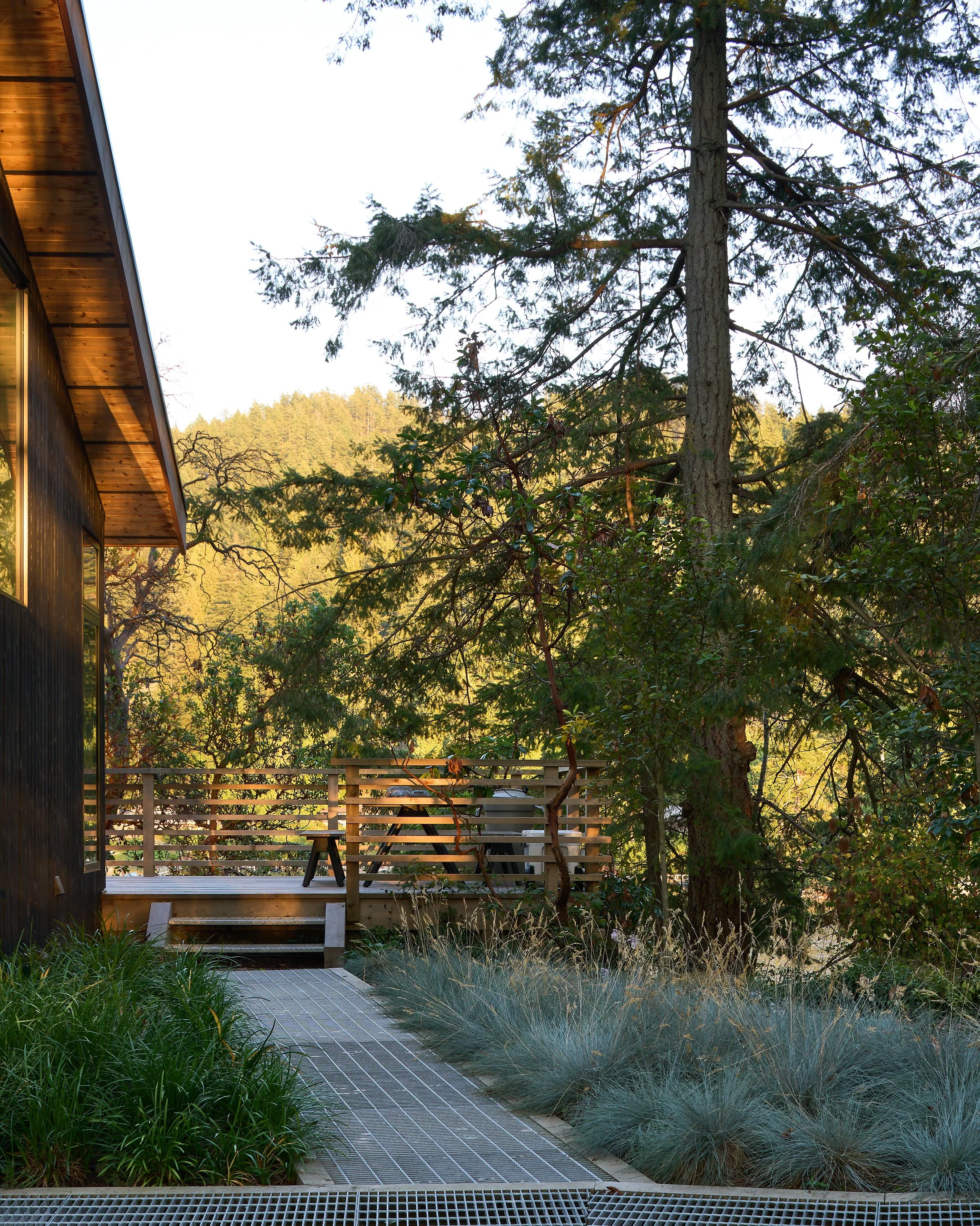 Considered Design Private Island BC_SJC3941_web.jpg