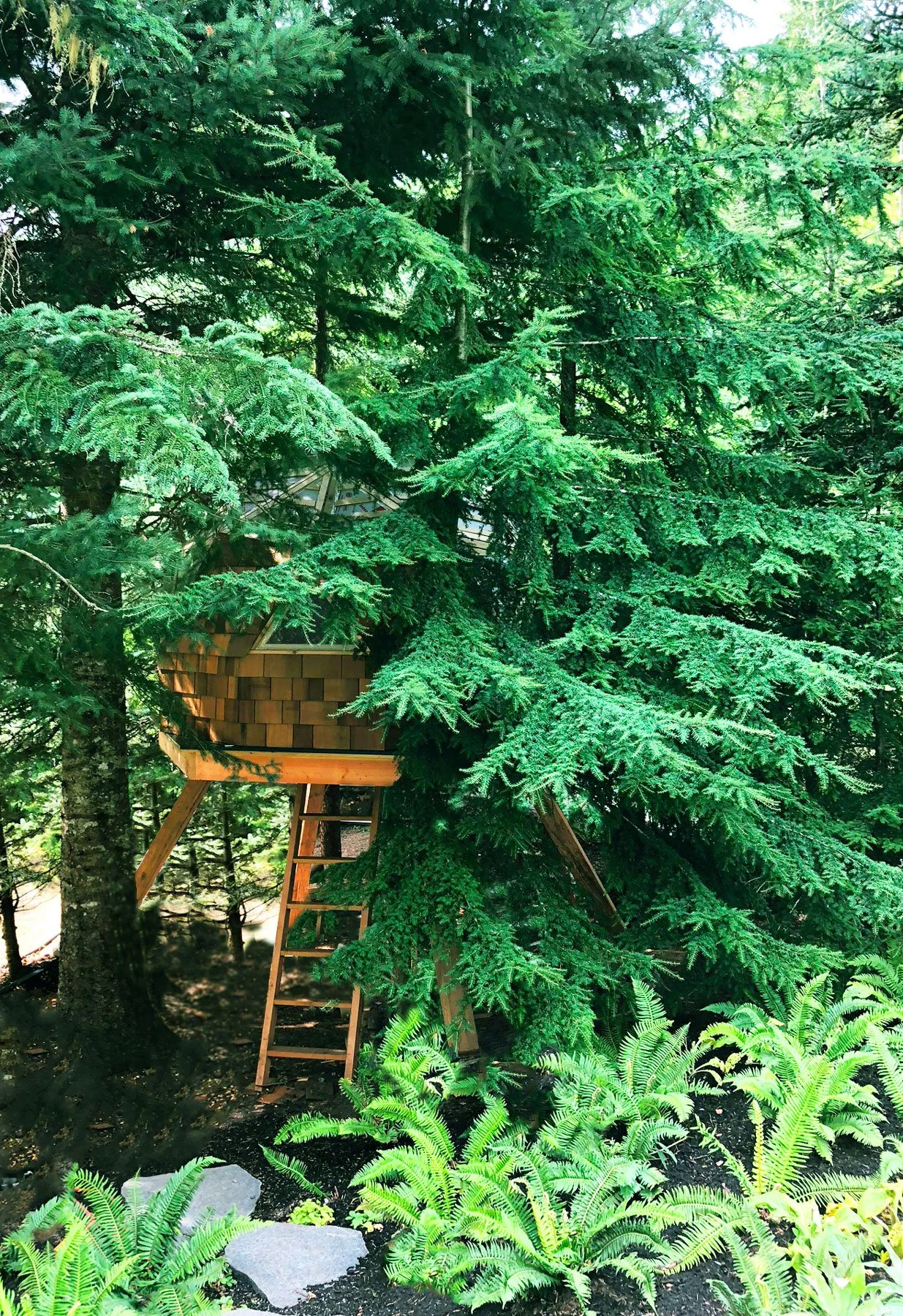 considereddesign-treehouse02.jpg