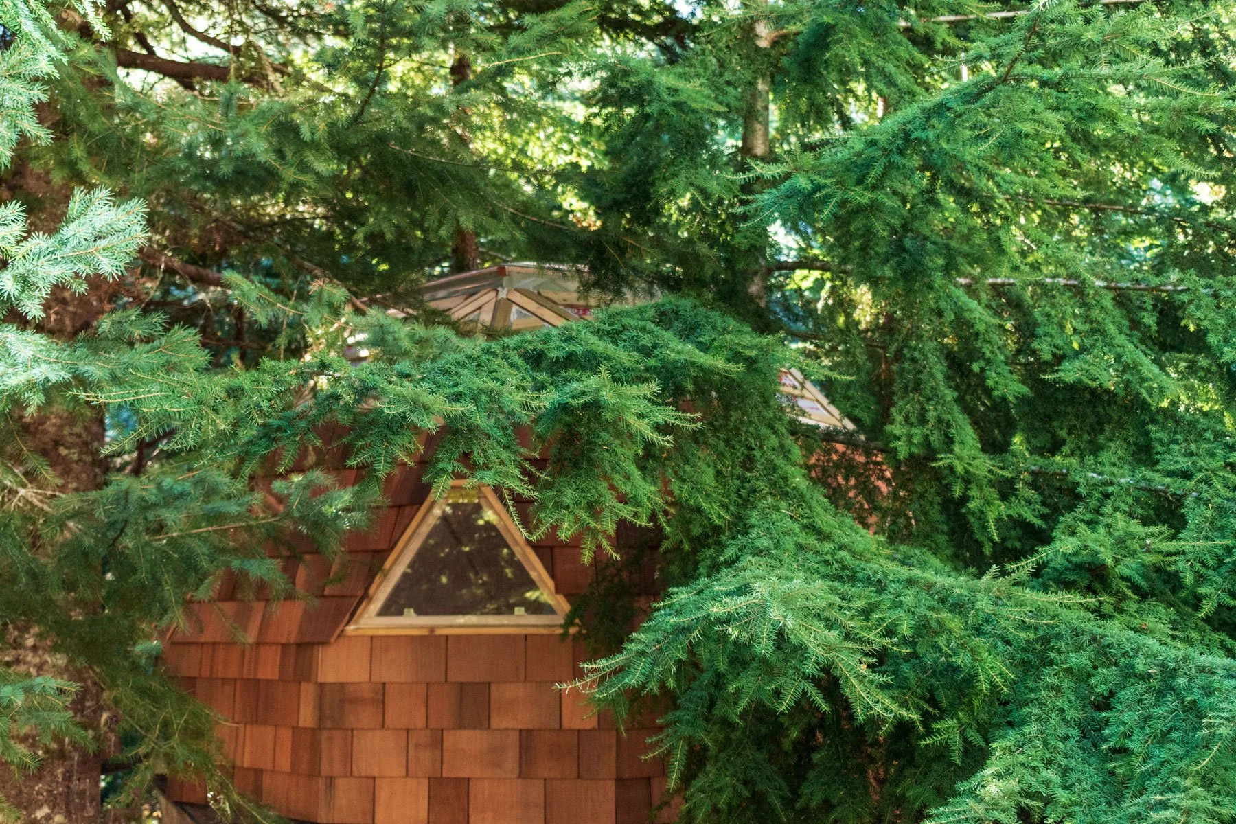 Treehouse, Whistler