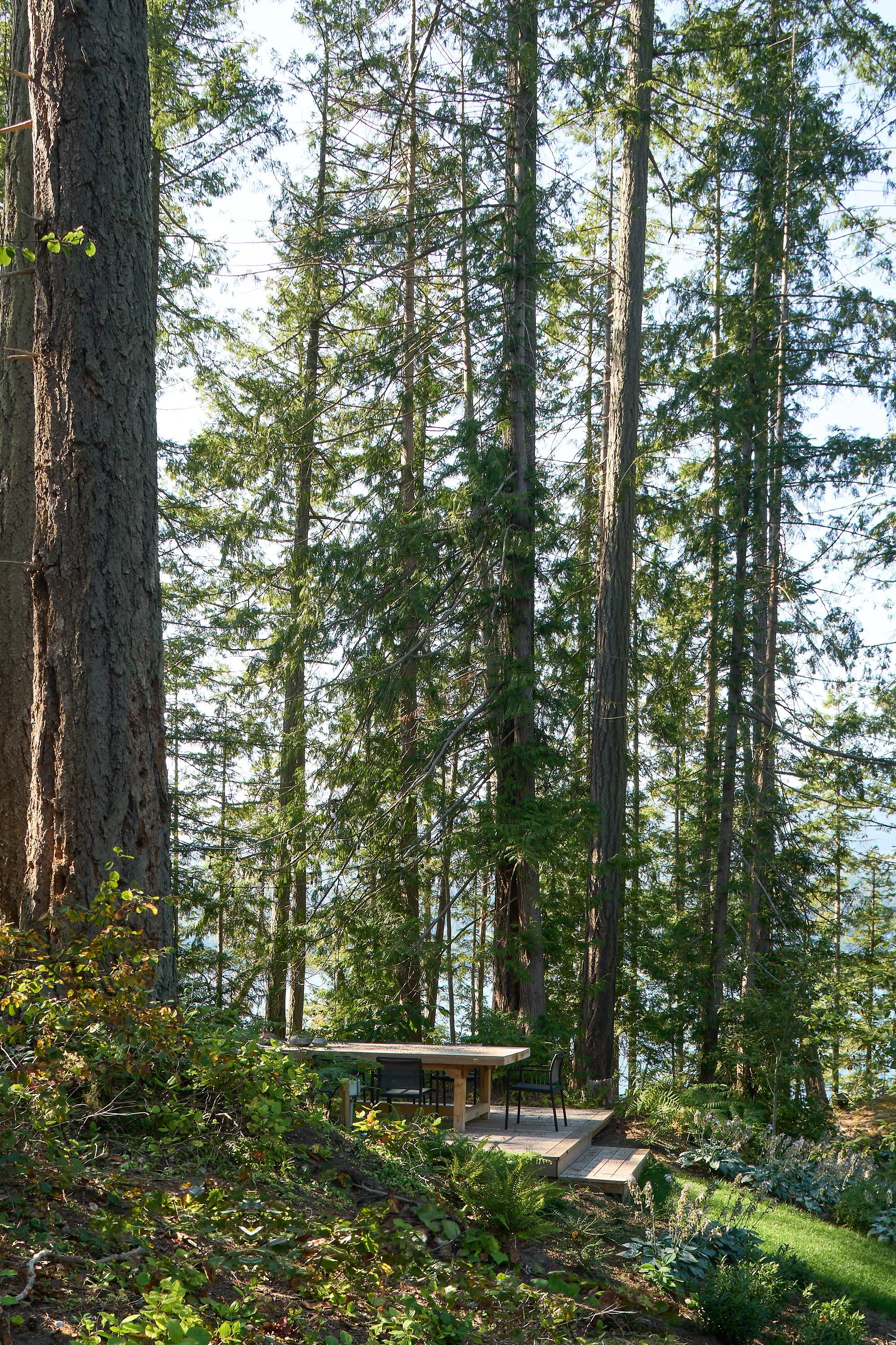 Considered Design Private Island BC_SJC3898_web.jpg