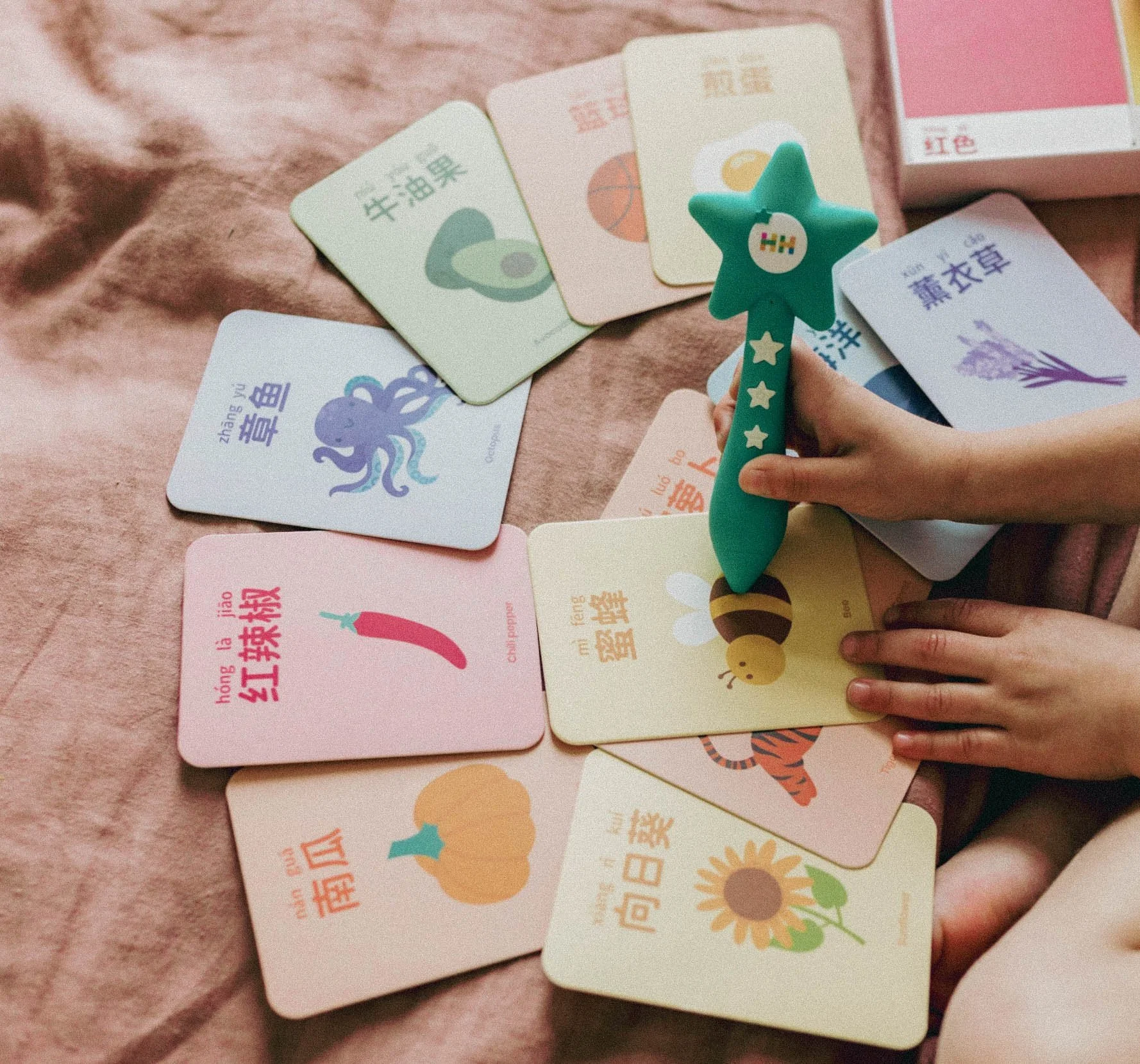 Habbi Habbi Bilingual Flashcards &amp; Puzzles