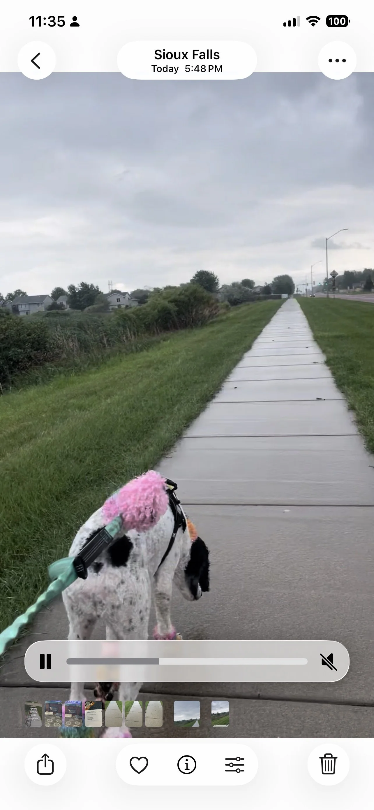 Before the storm 